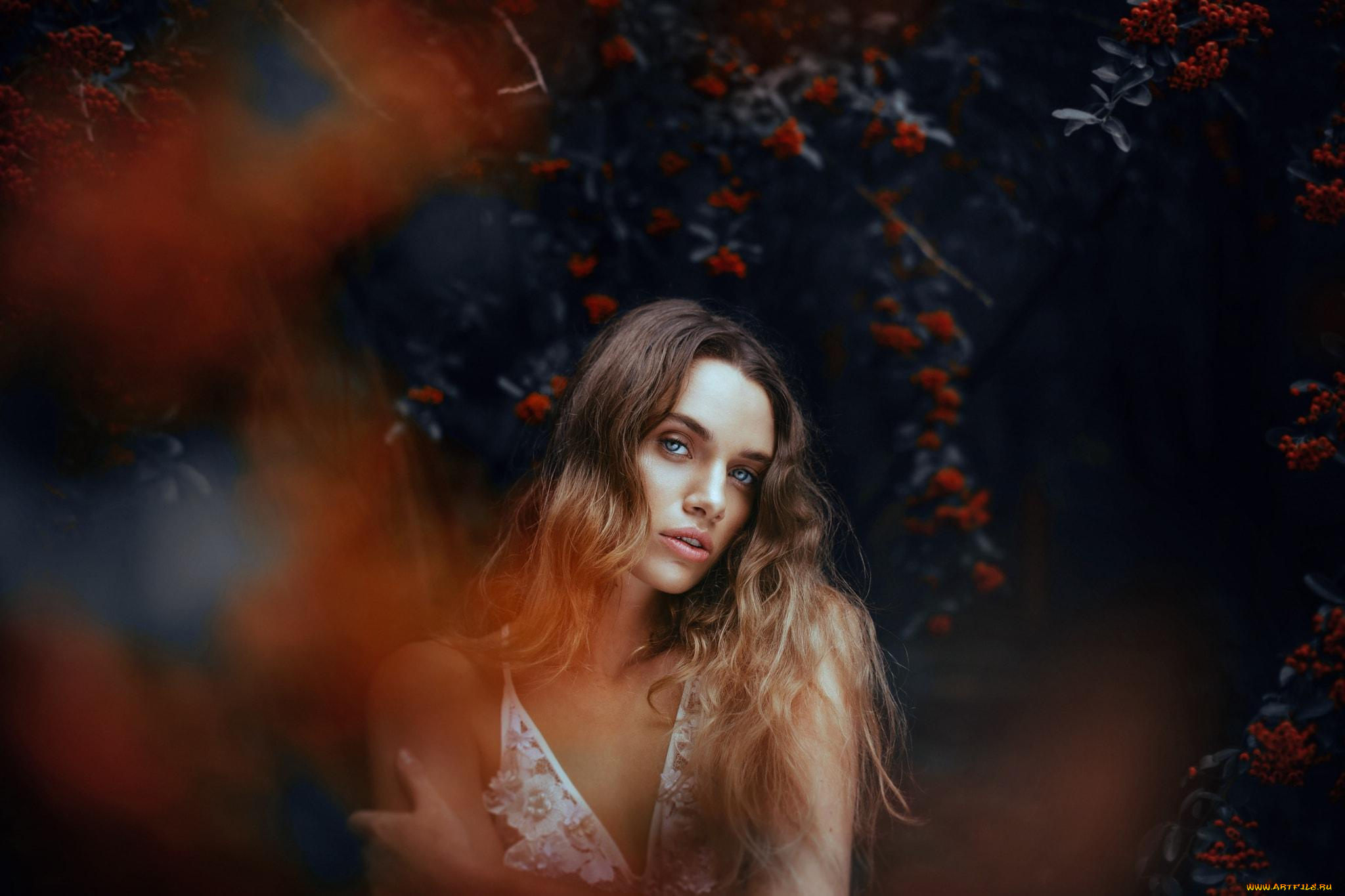 девушки, -unsort, , блондинки, , светловолосые, лицо, блондинка, рябина, ягоды