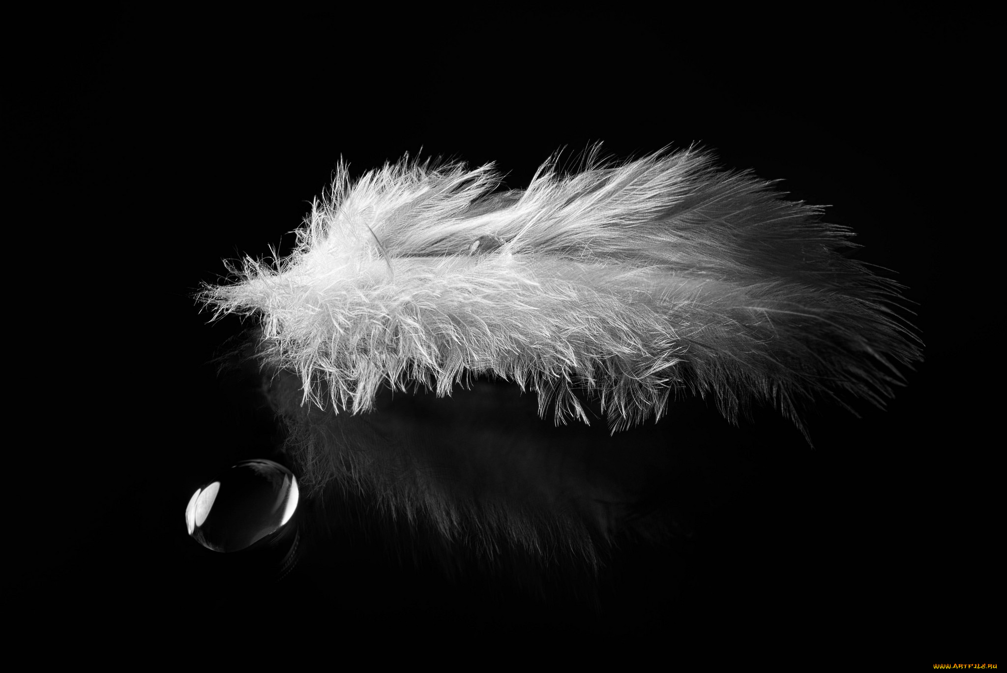 разное, перья, перо