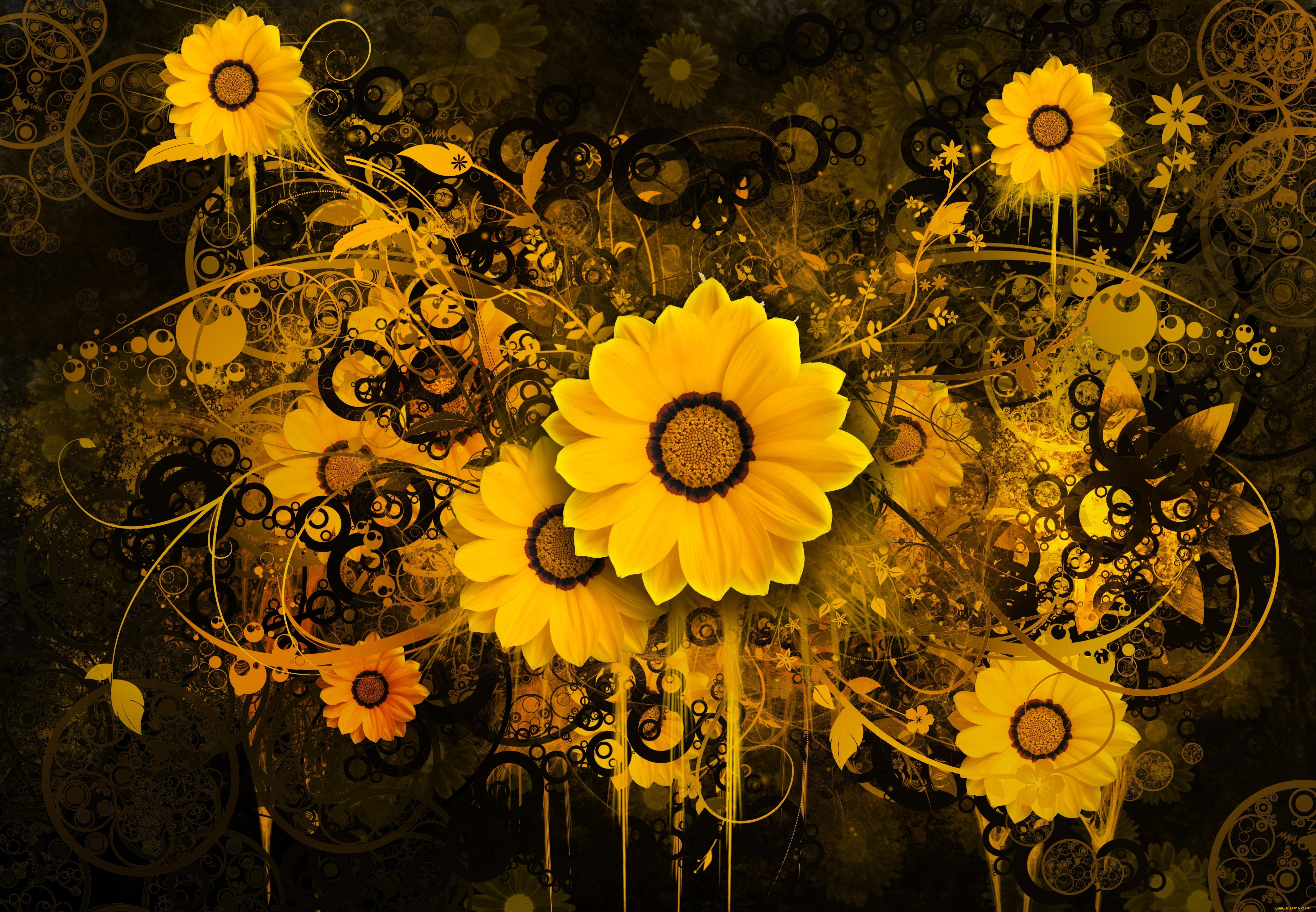 разное, компьютерный, дизайн, подсолнух