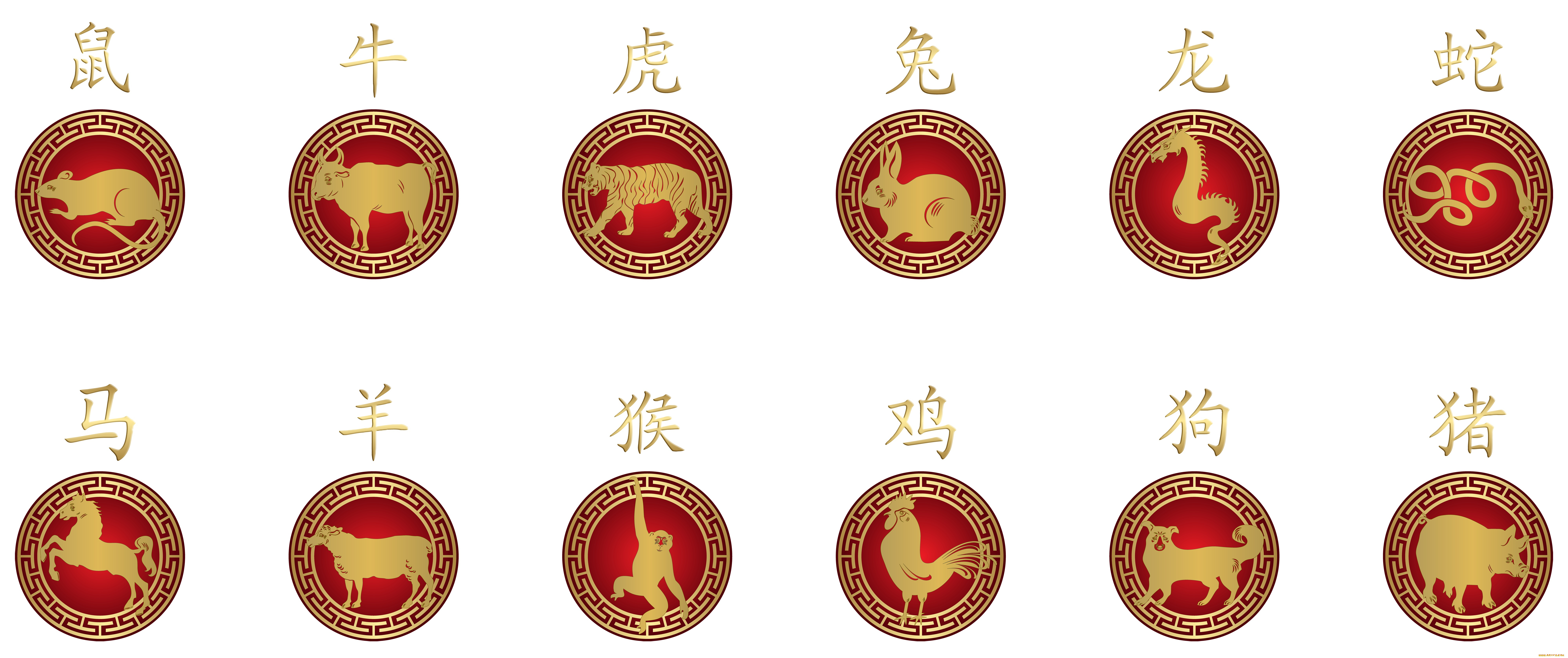 разное, знаки, зодиака, знаки, зодиака