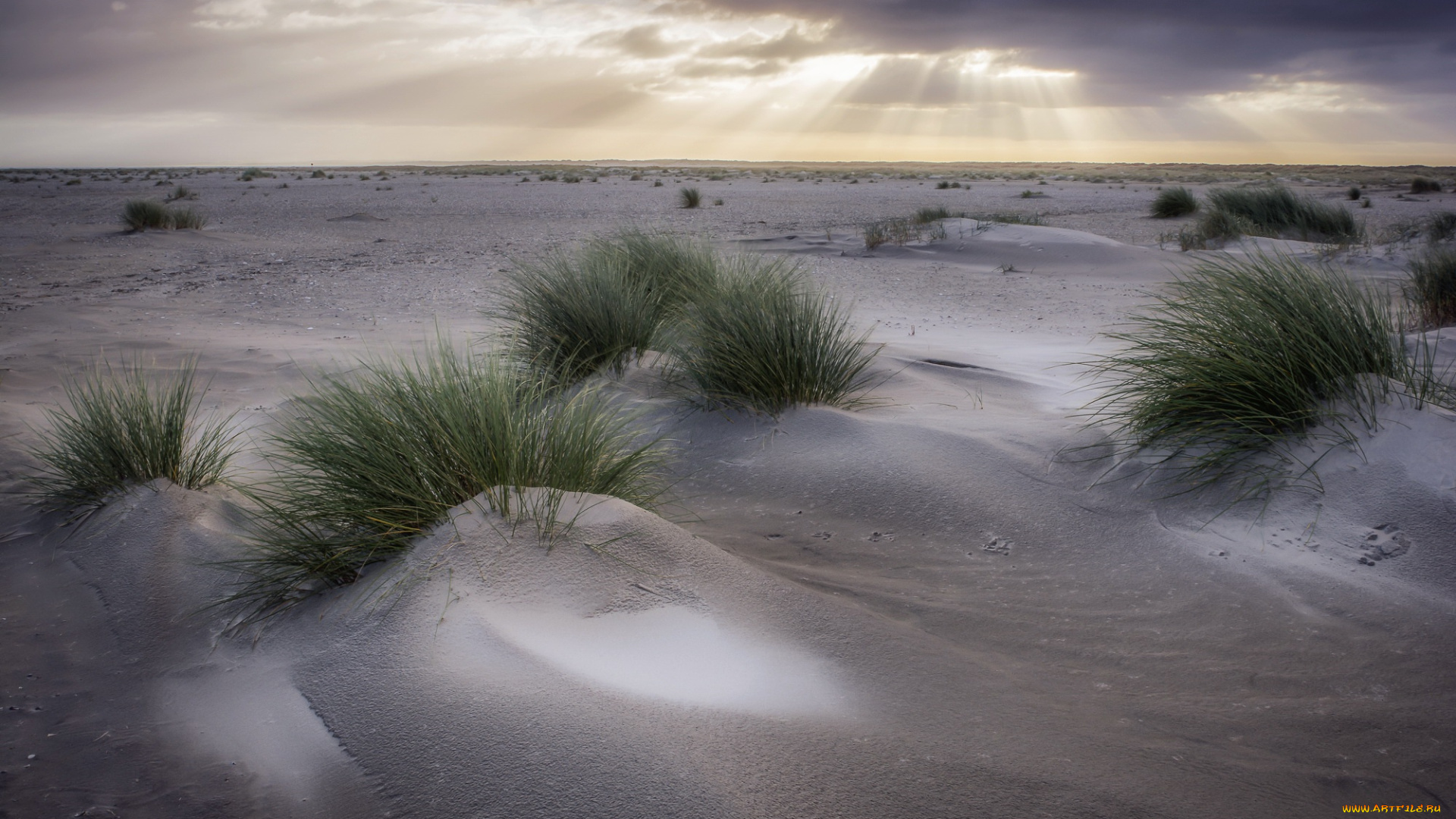 природа, пустыни, дюны, трава, небо
