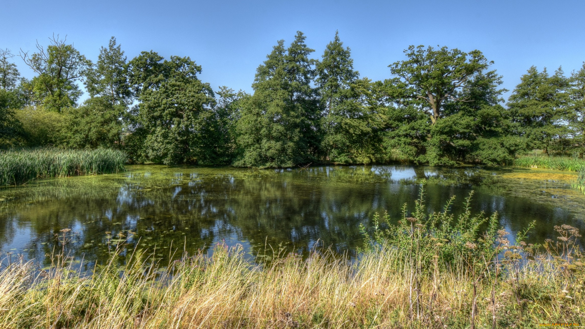 природа, реки, озера, простор