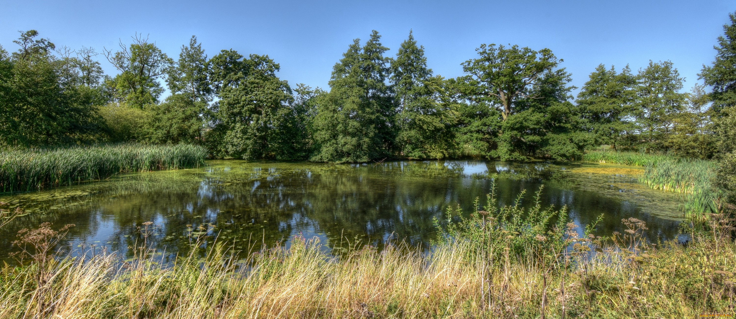 природа, реки, озера, простор