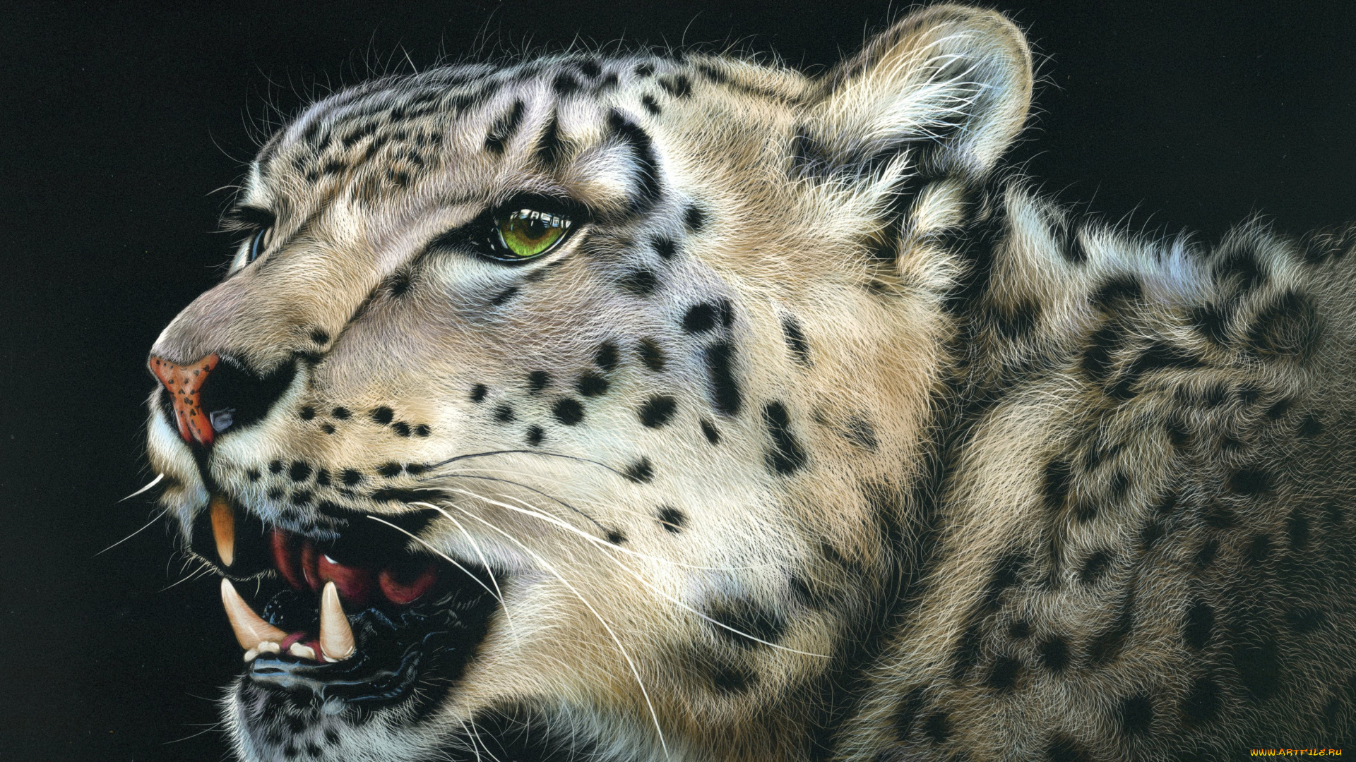 рисованное, животные, , барсы, гепард, фон, оскал