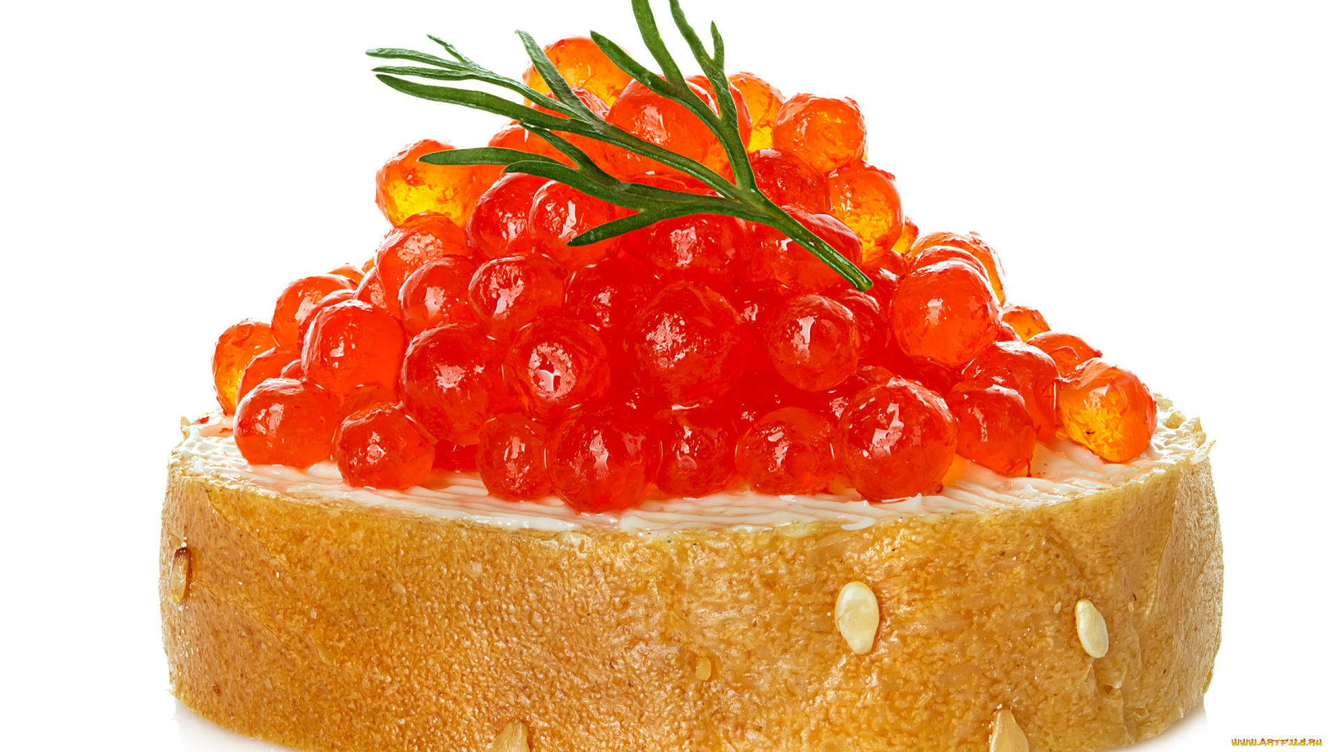 еда, икра, бутерброд, красная, деликатес, макро