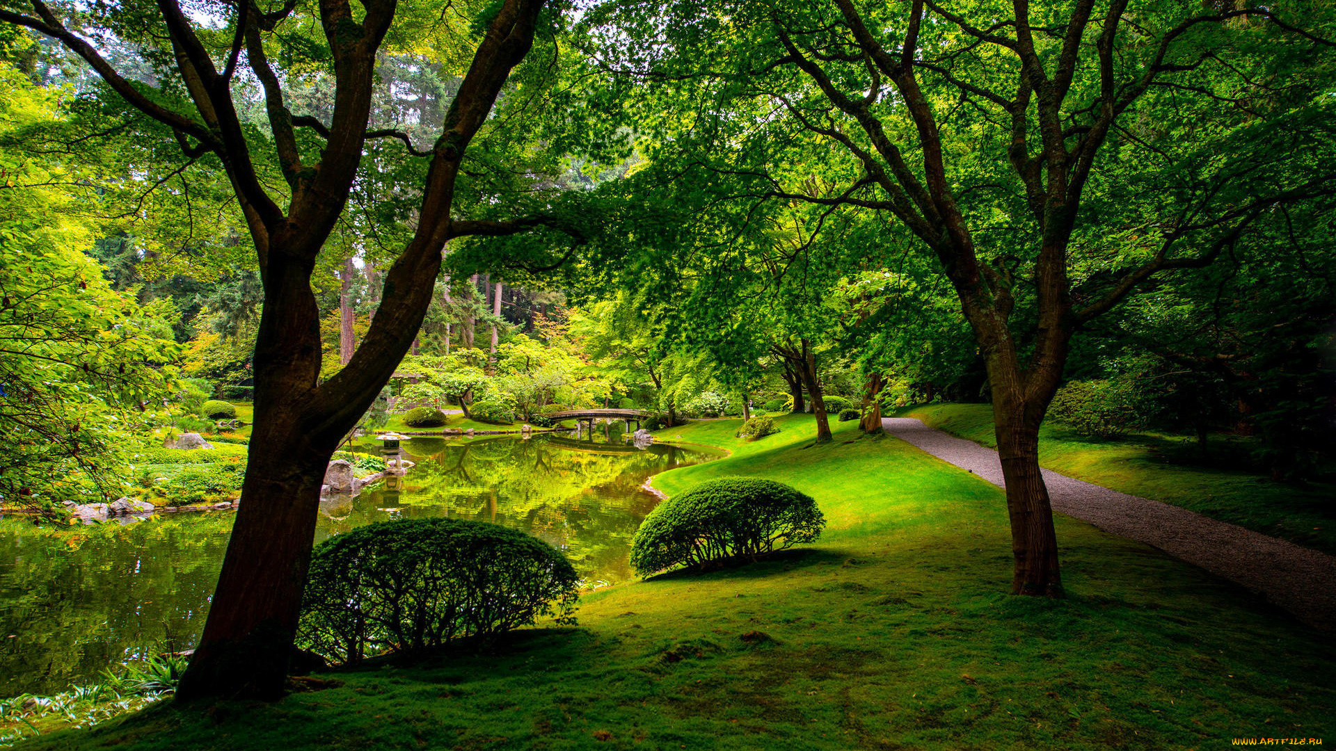 природа, парк, пруд, мостик, аллея, деревья