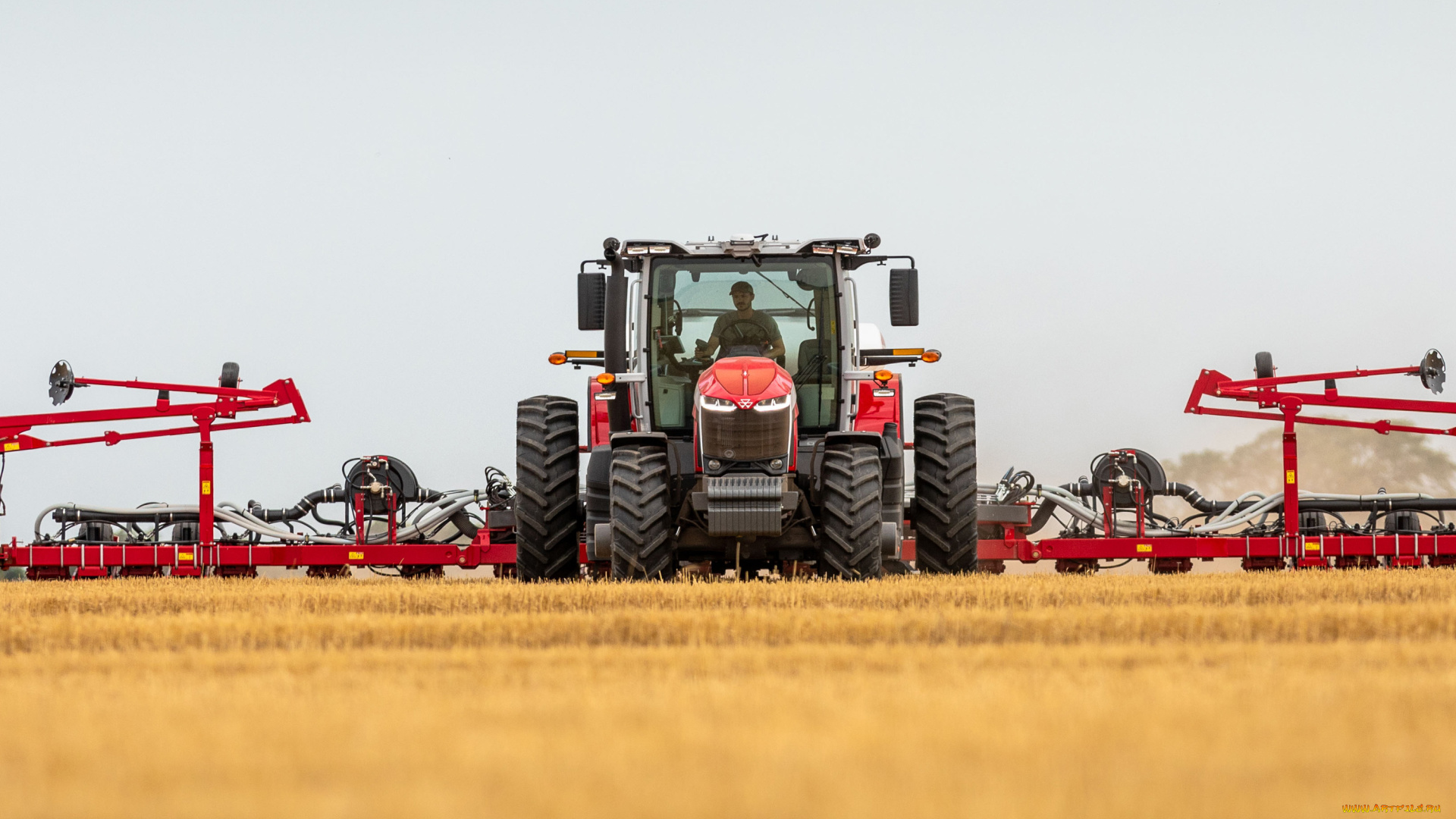 техника, тракторы, massey, ferguson