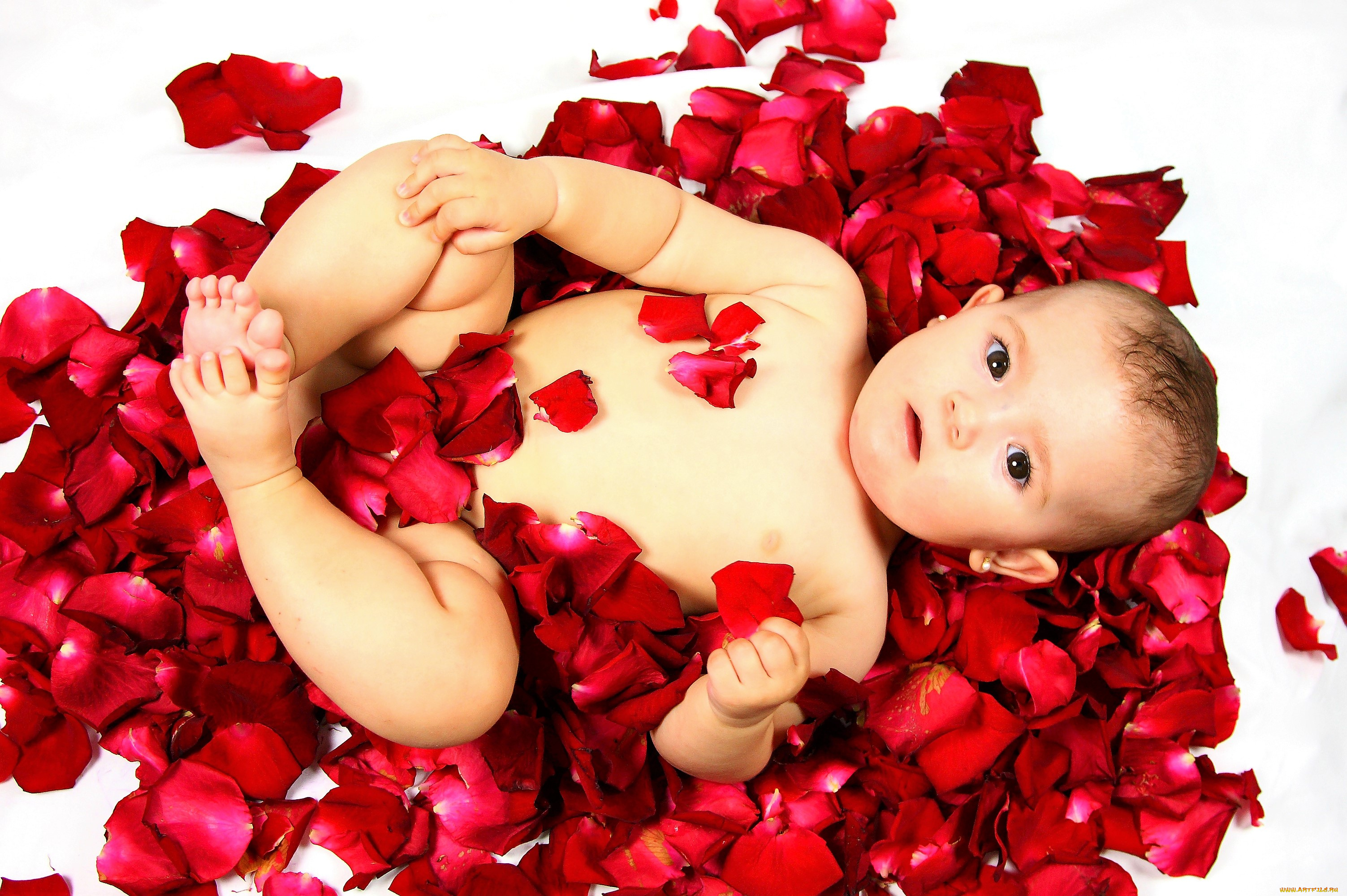 разное, дети, ребенок, лепестки