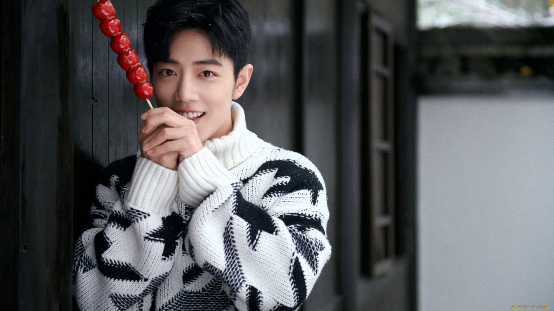 мужчины, xiao, zhan, актер, свитер, конфета, ворота