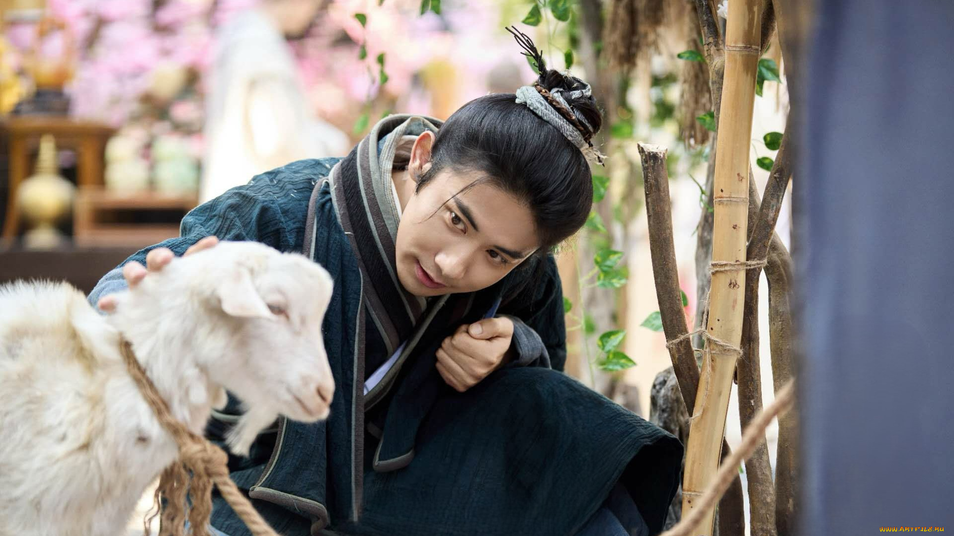 кино, фильмы, love, of, petals, love, of, petals