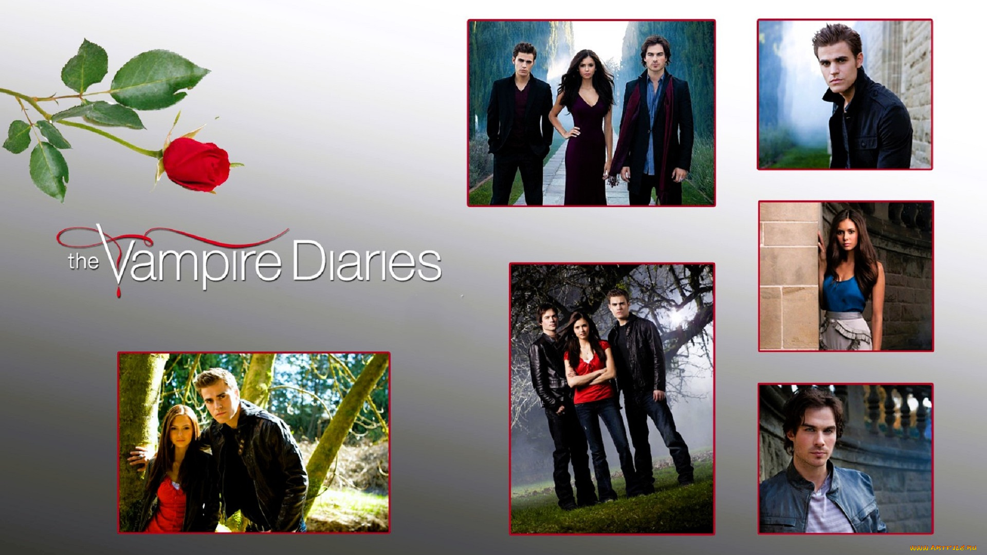 кино, фильмы, the, vampire, diaries, вампиры, кадры, роза