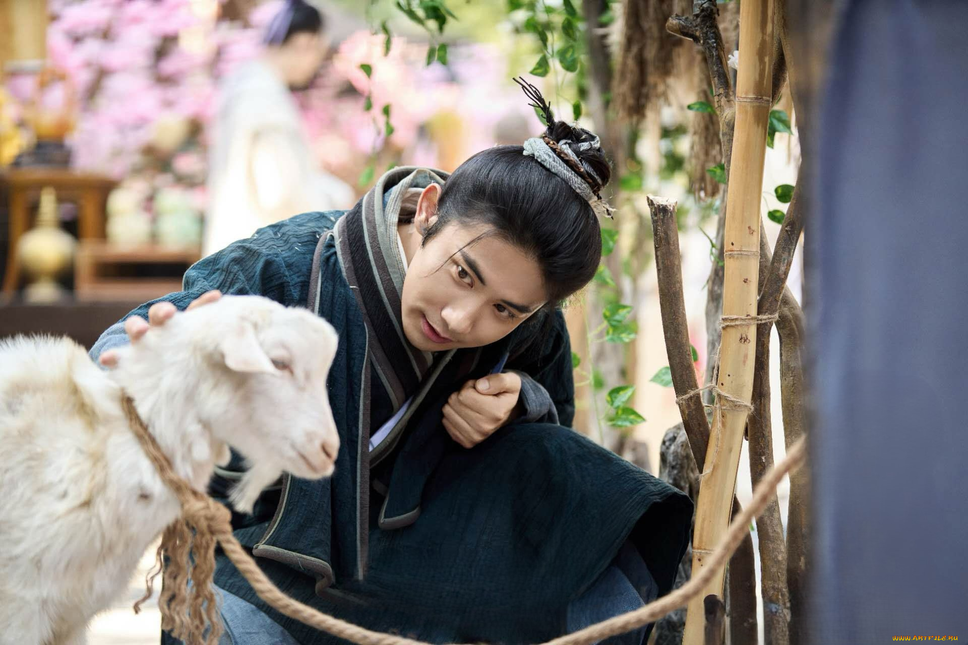 кино, фильмы, love, of, petals, love, of, petals