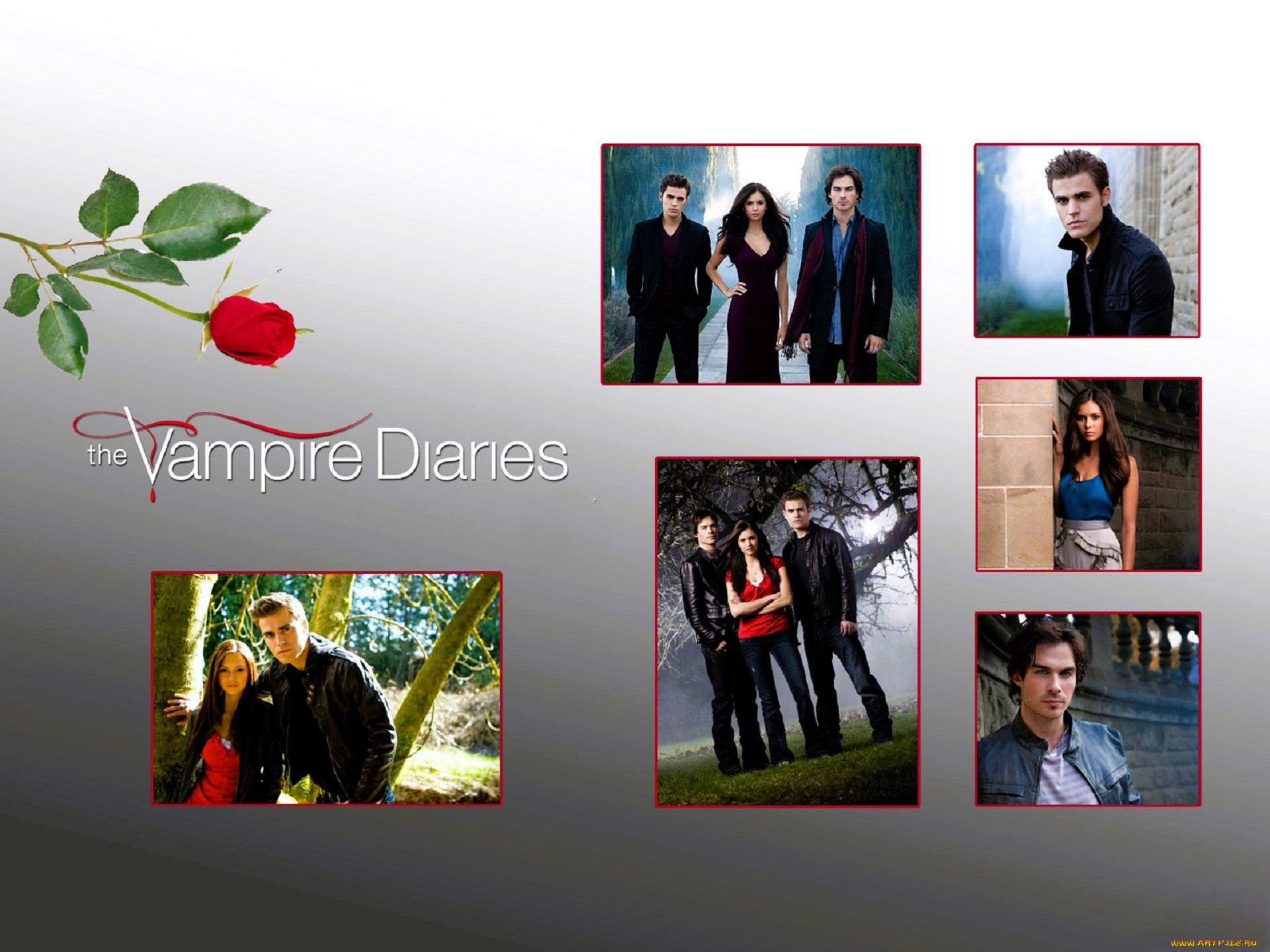 кино, фильмы, the, vampire, diaries, вампиры, кадры, роза