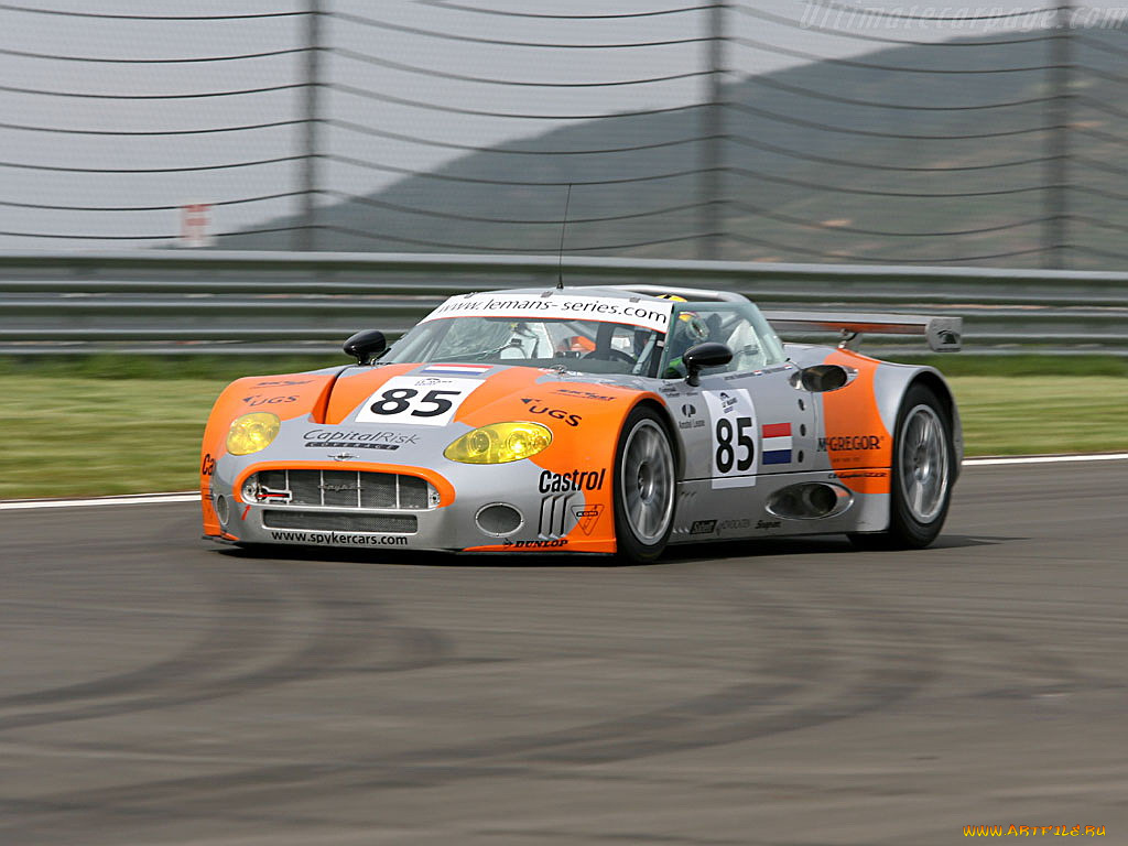 spyker, c8, spyder, спорт, автоспорт