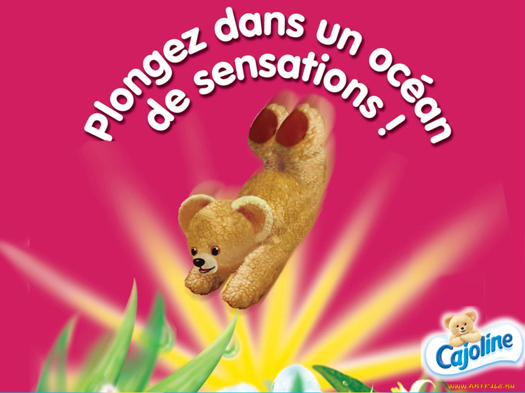 бренды, cajoline