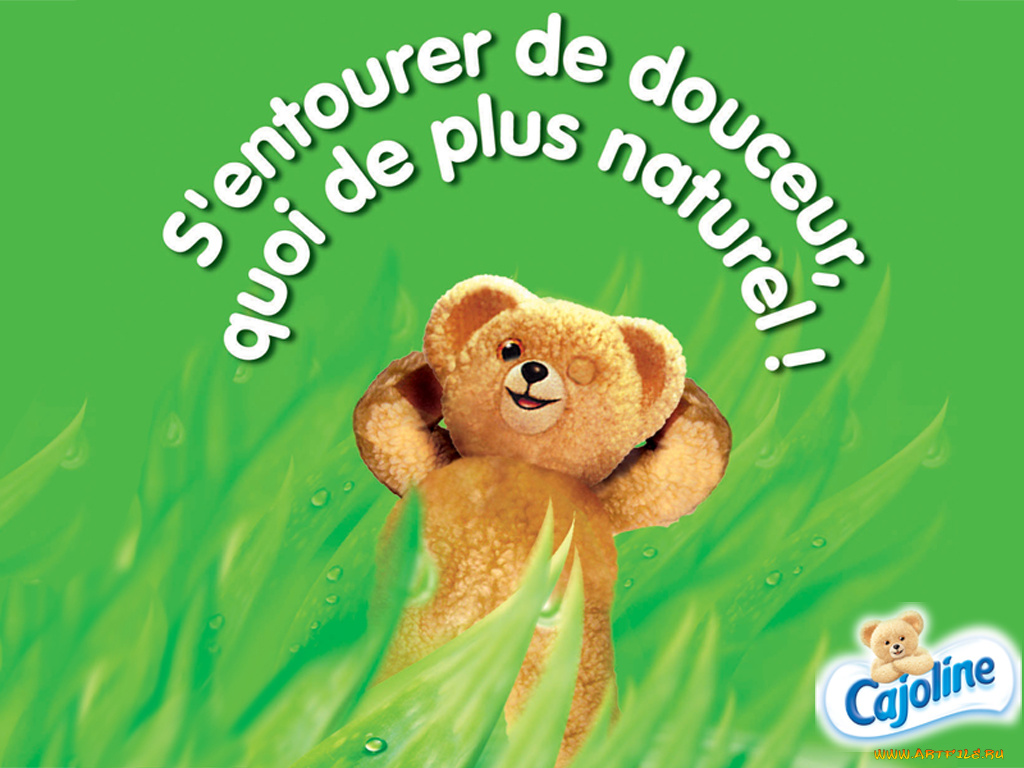 бренды, cajoline