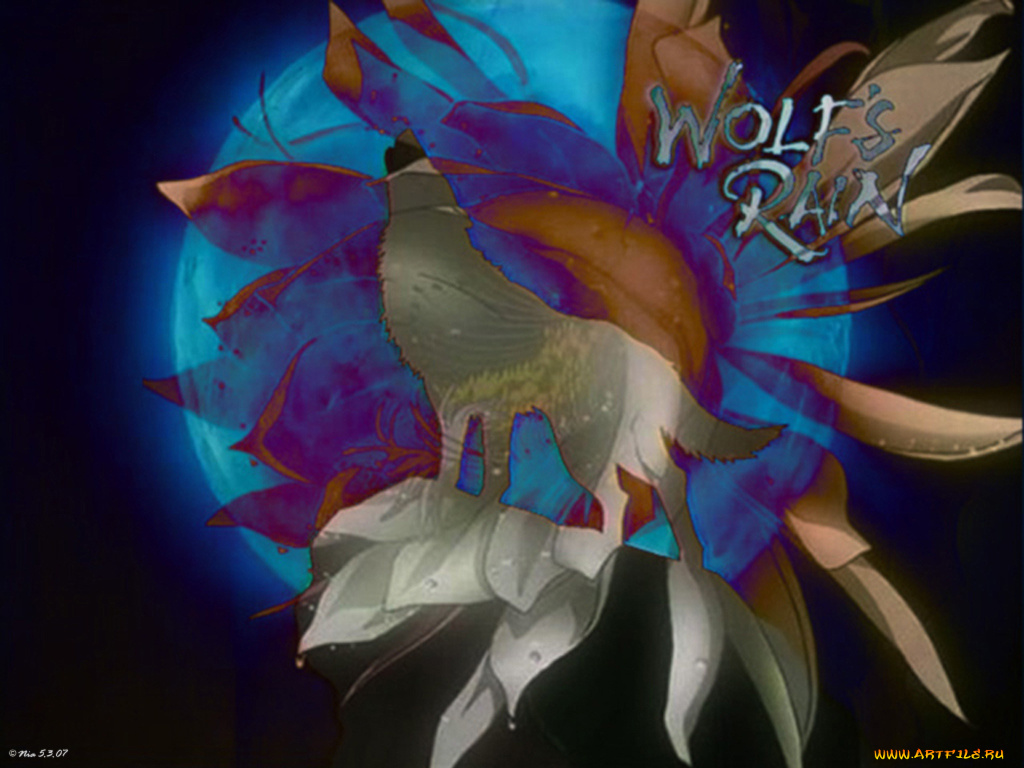 wolfs, rain, аниме, wolf`s