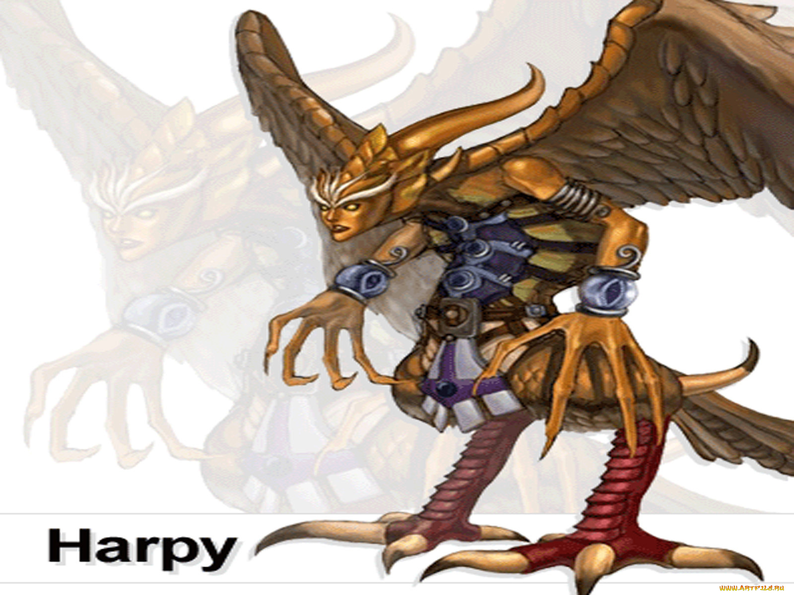 видео, игры, corum, online