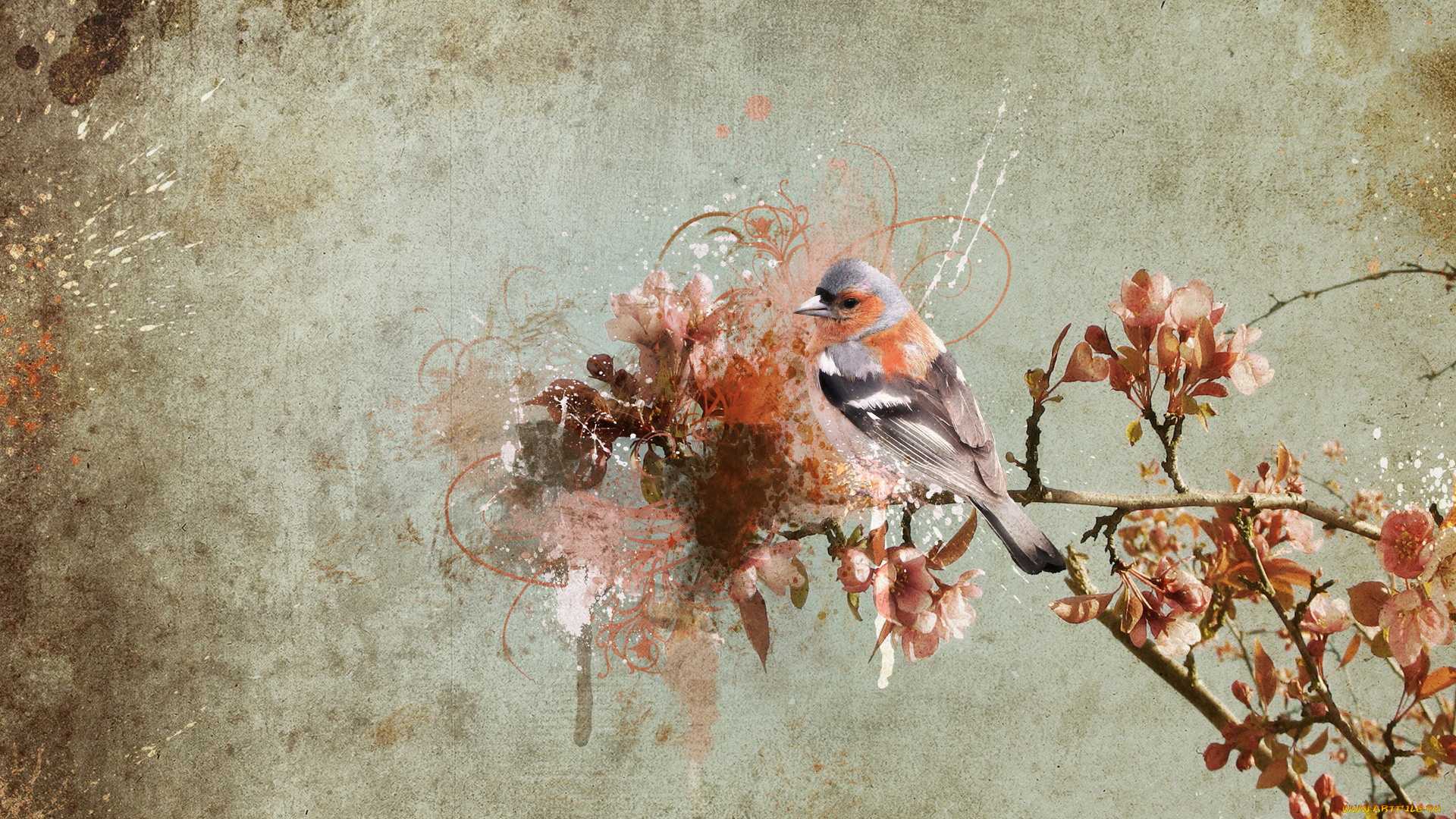 животные, птицы