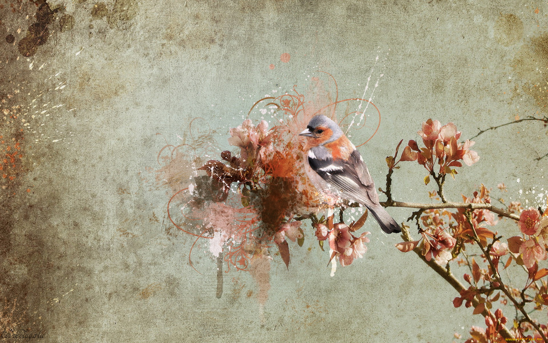 животные, птицы