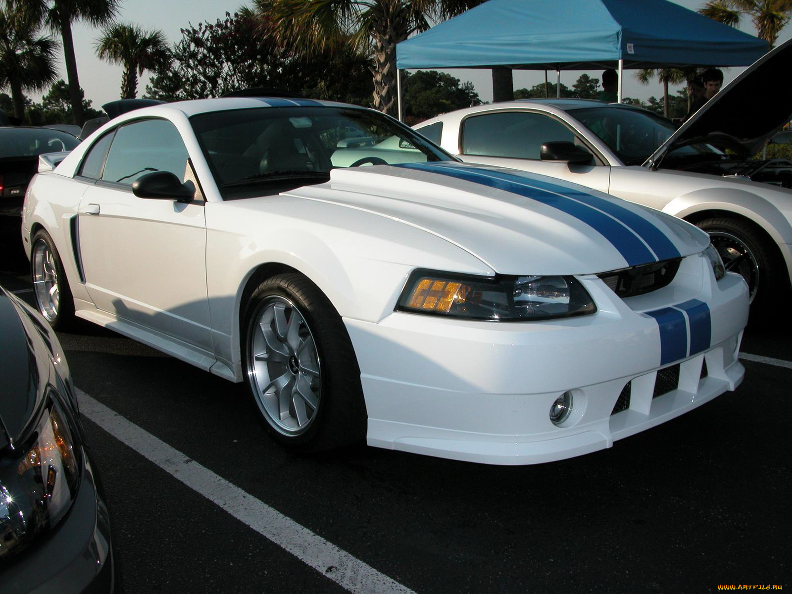 автомобили, выставки, уличные, фото