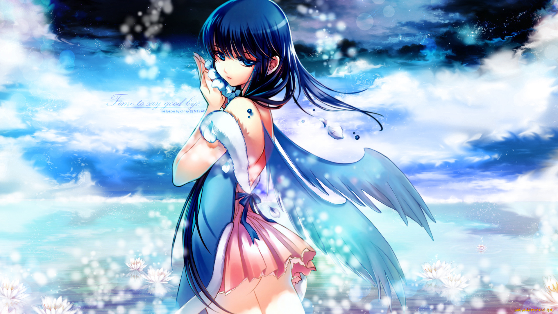 dmyo, mangaka, аниме