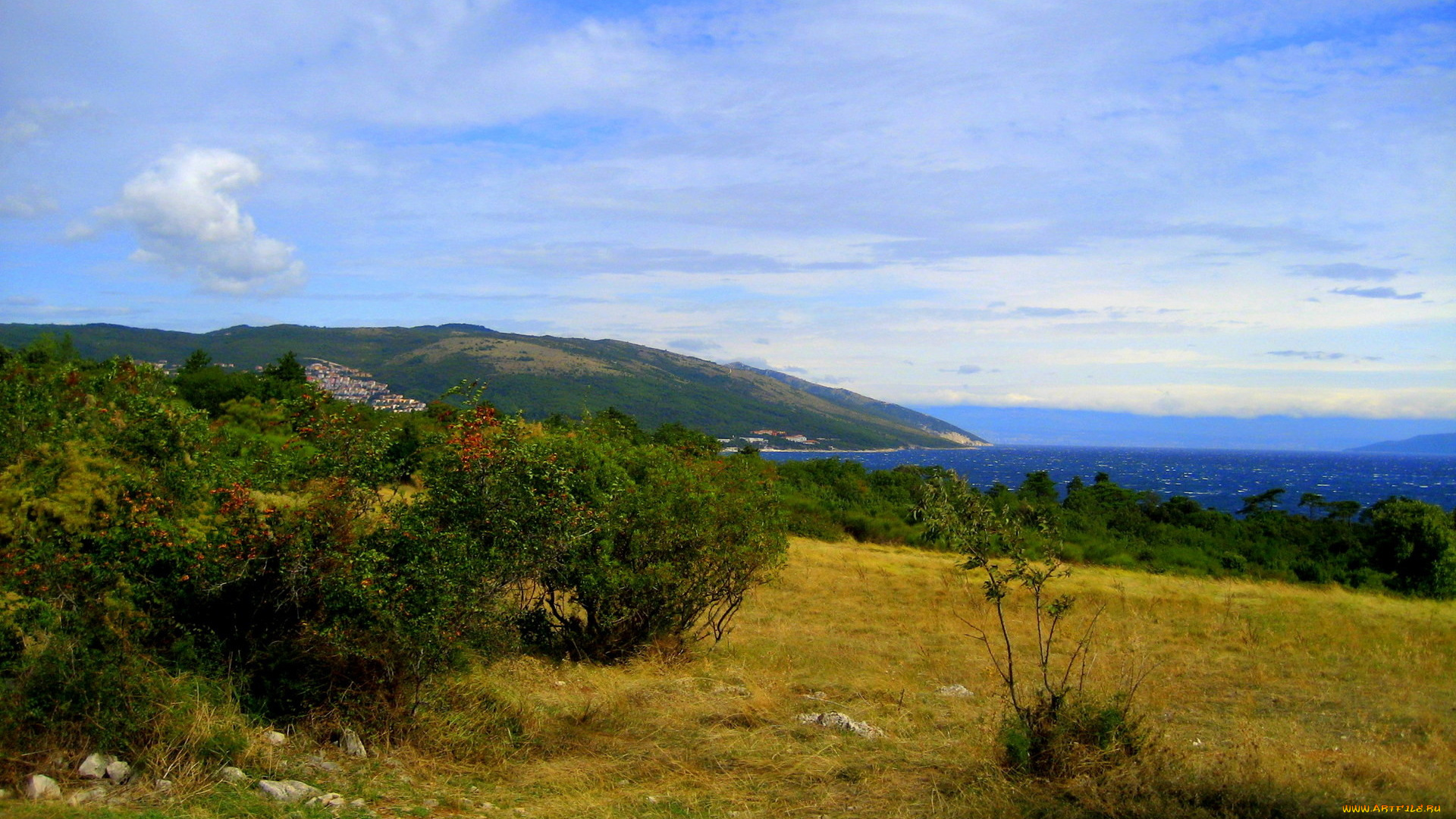 природа, побережье, море, холмы, кусты, камни