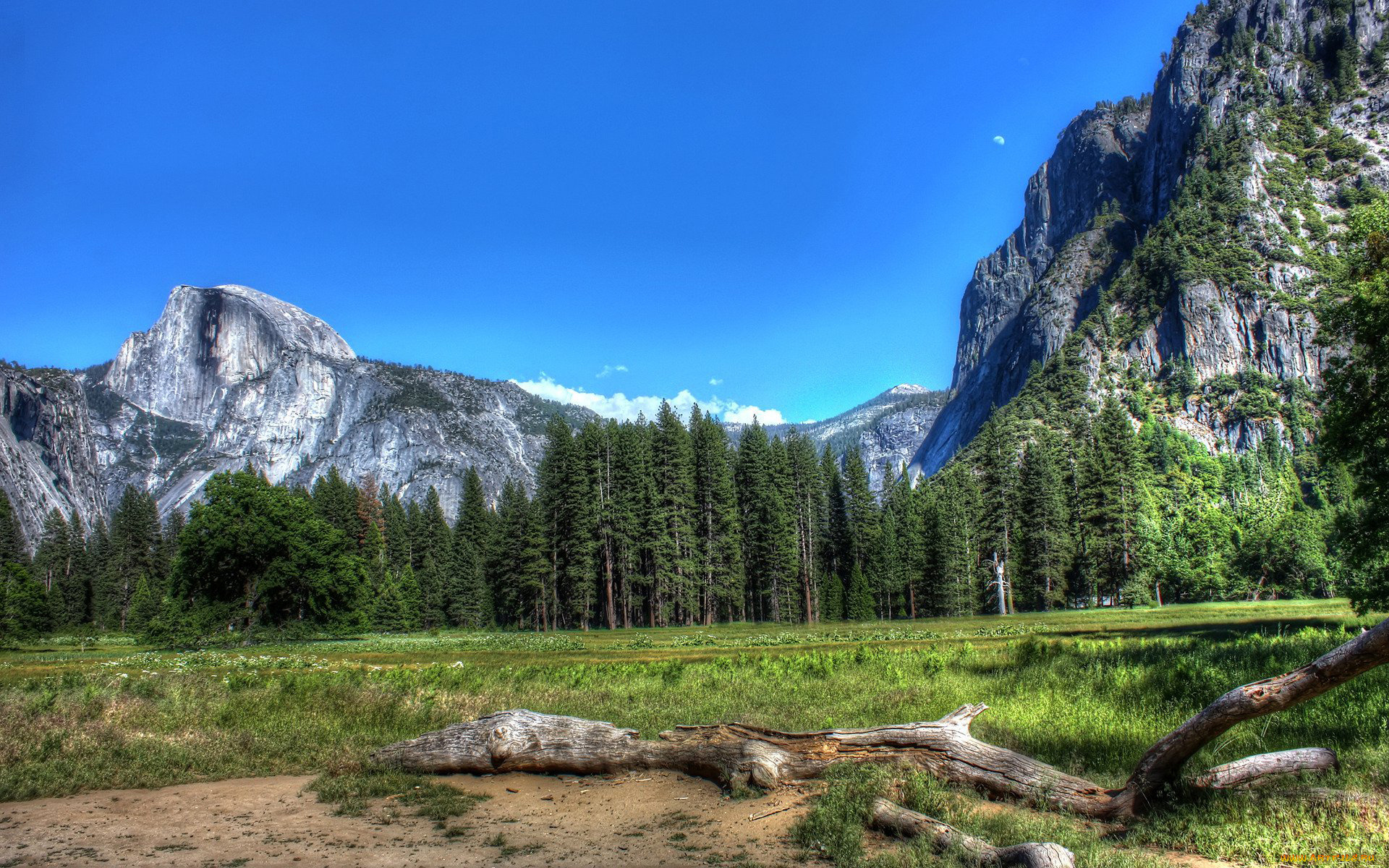 природа, горы, лес, небо, деревья