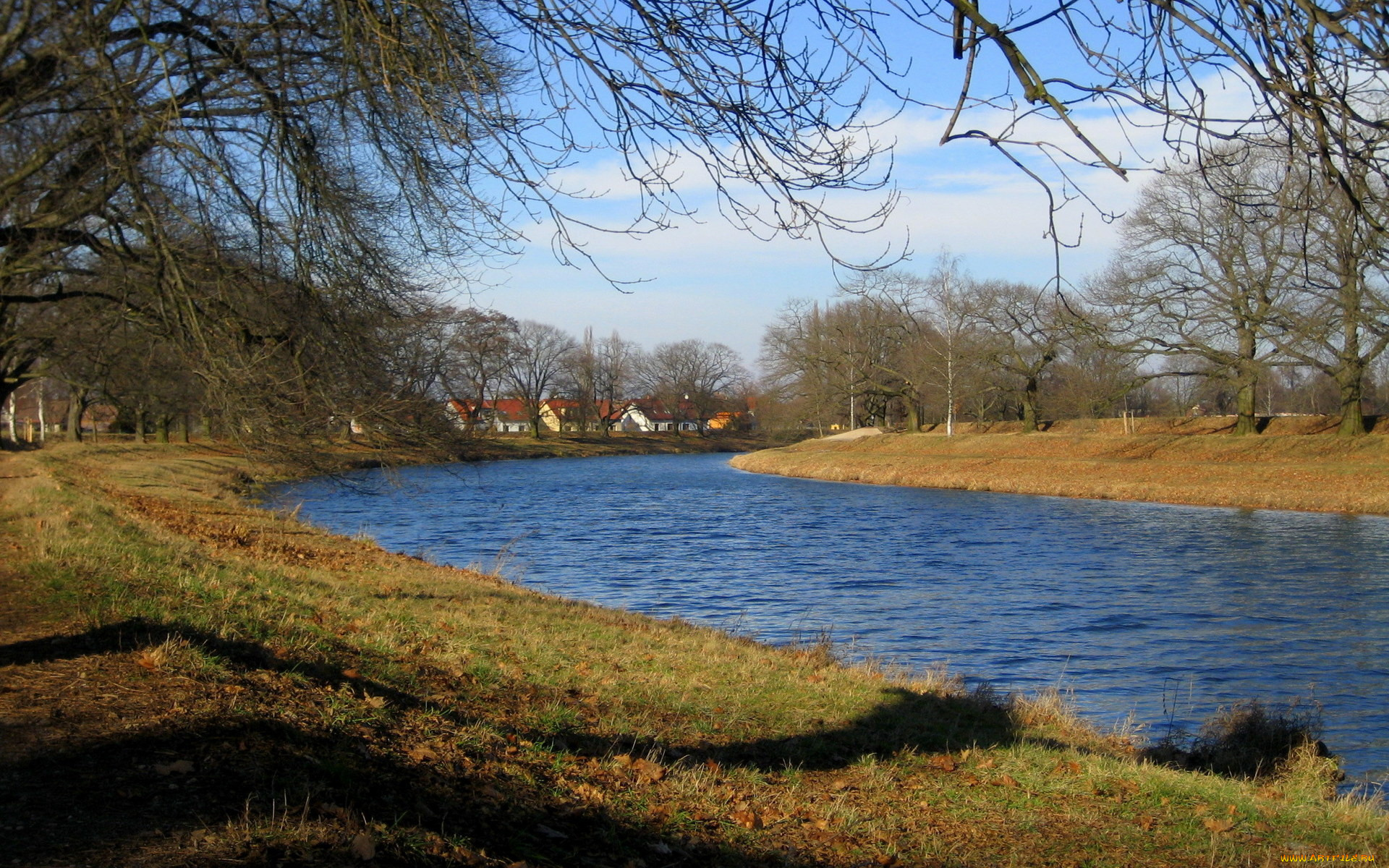 природа, реки, озера, домики, река, деревья