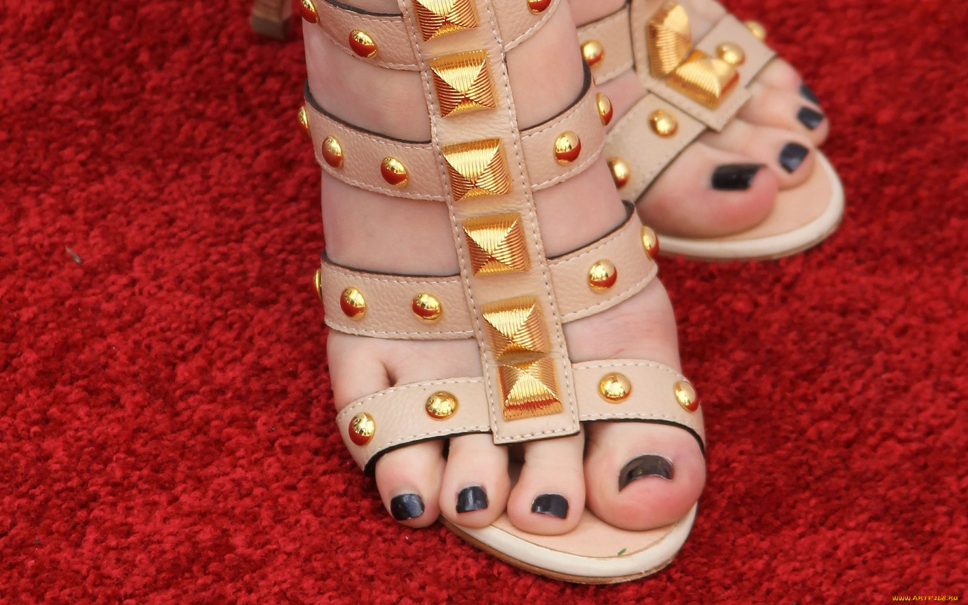 разное, одежда, обувь, текстиль, экипировка, босоножки, педикюр, ножки