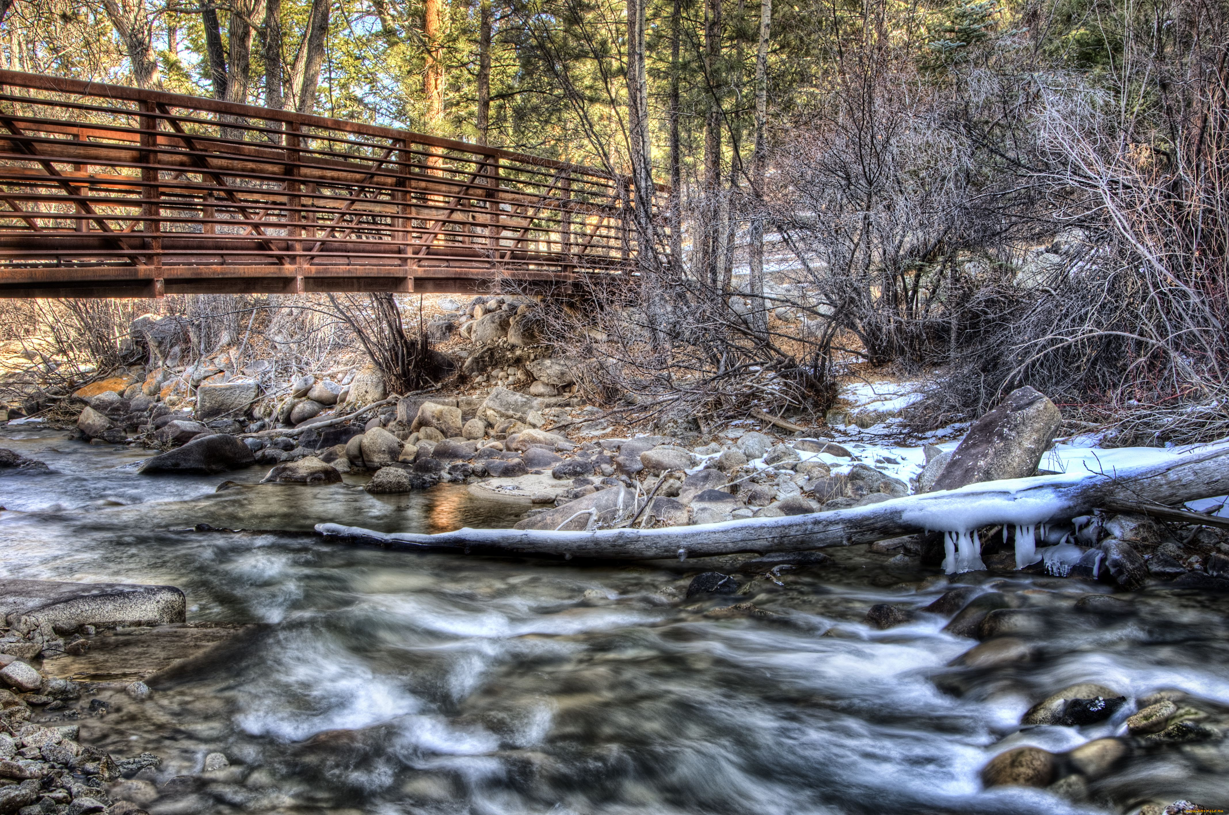 природа, реки, озера, мост