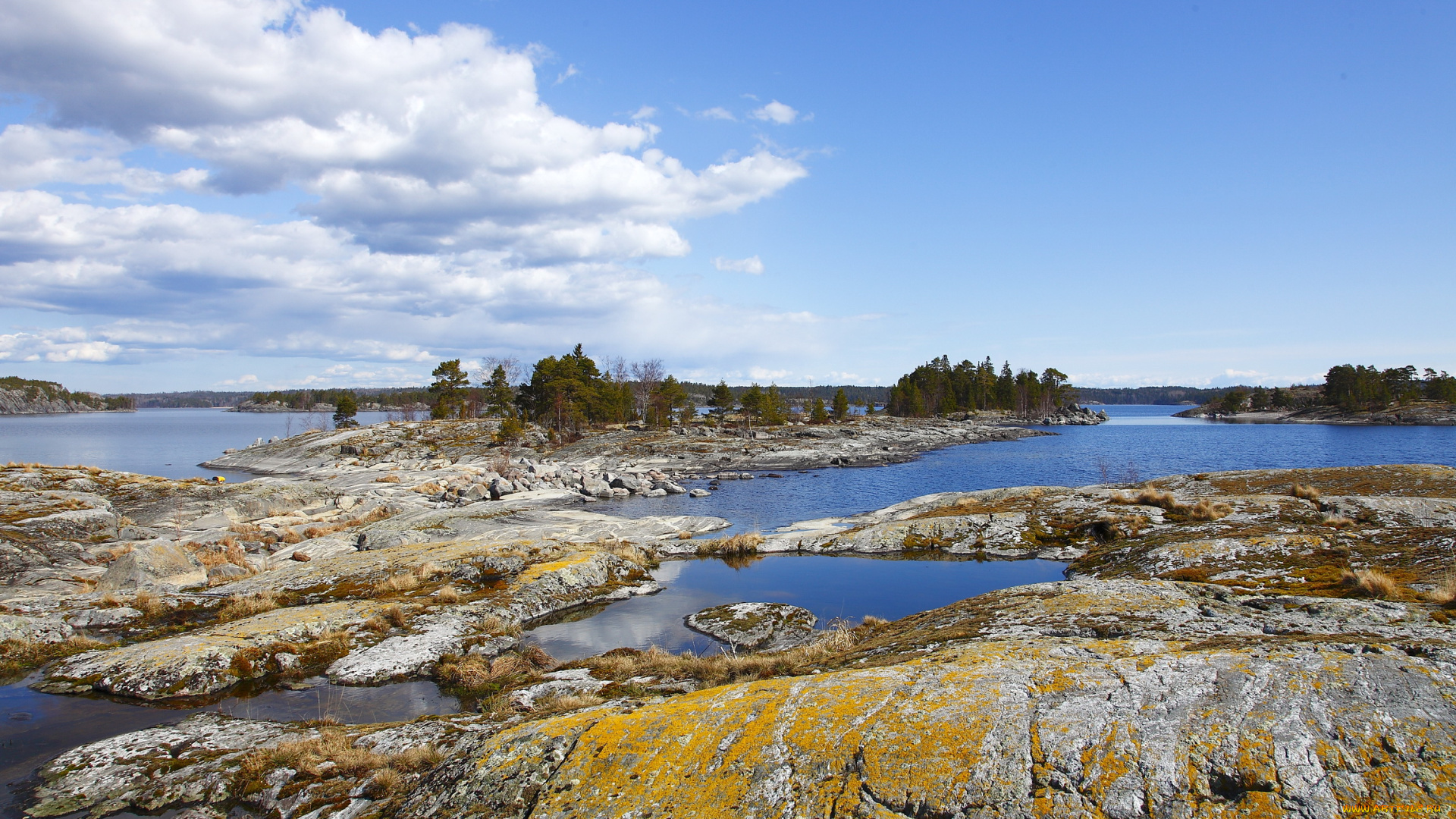 карелия, природа, реки, озера, река