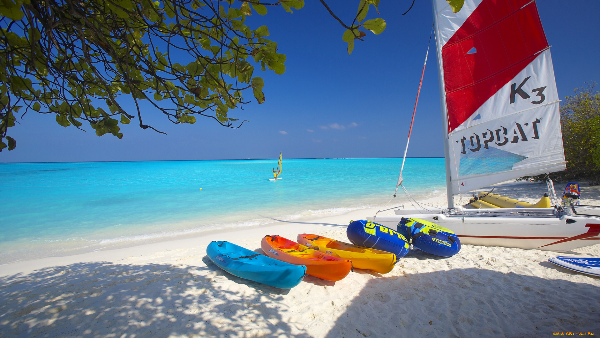 пейзаж, корабли, разные, вместе, пляж, лодки, парусник, ветки, деревьев, остров, мальдивы