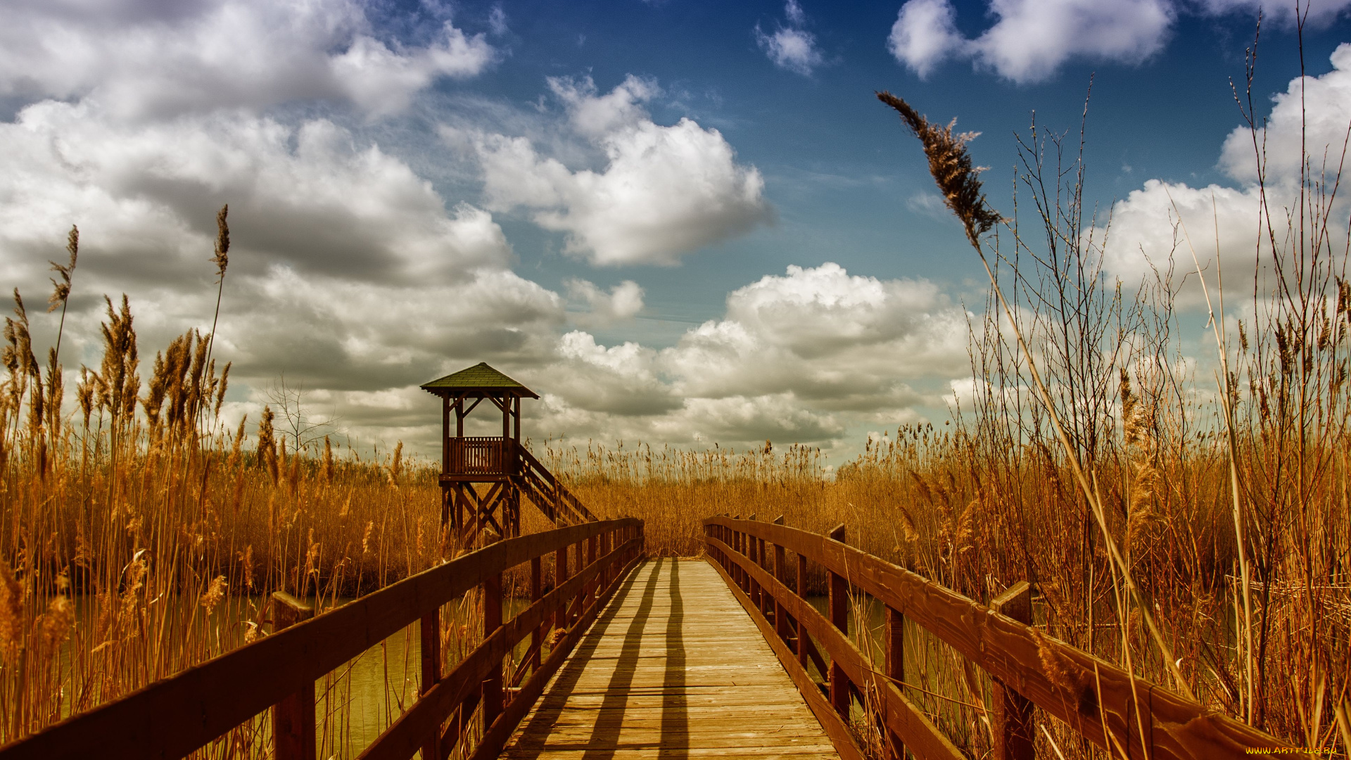пейзаж, природа, другое, весна, колосья, мост, река, беседка, небо