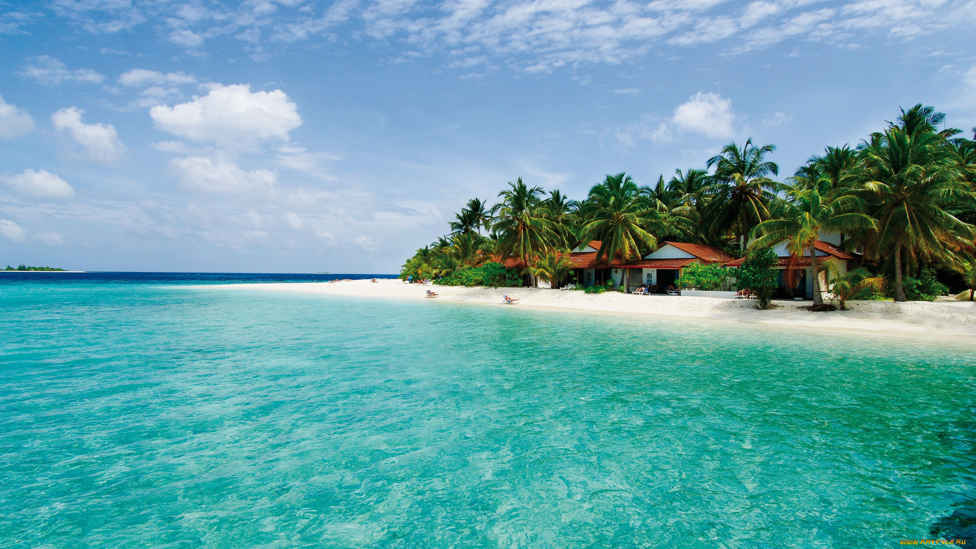 пейзаж, природа, тропики, мальдивы, остров, море, пальмы, пляж