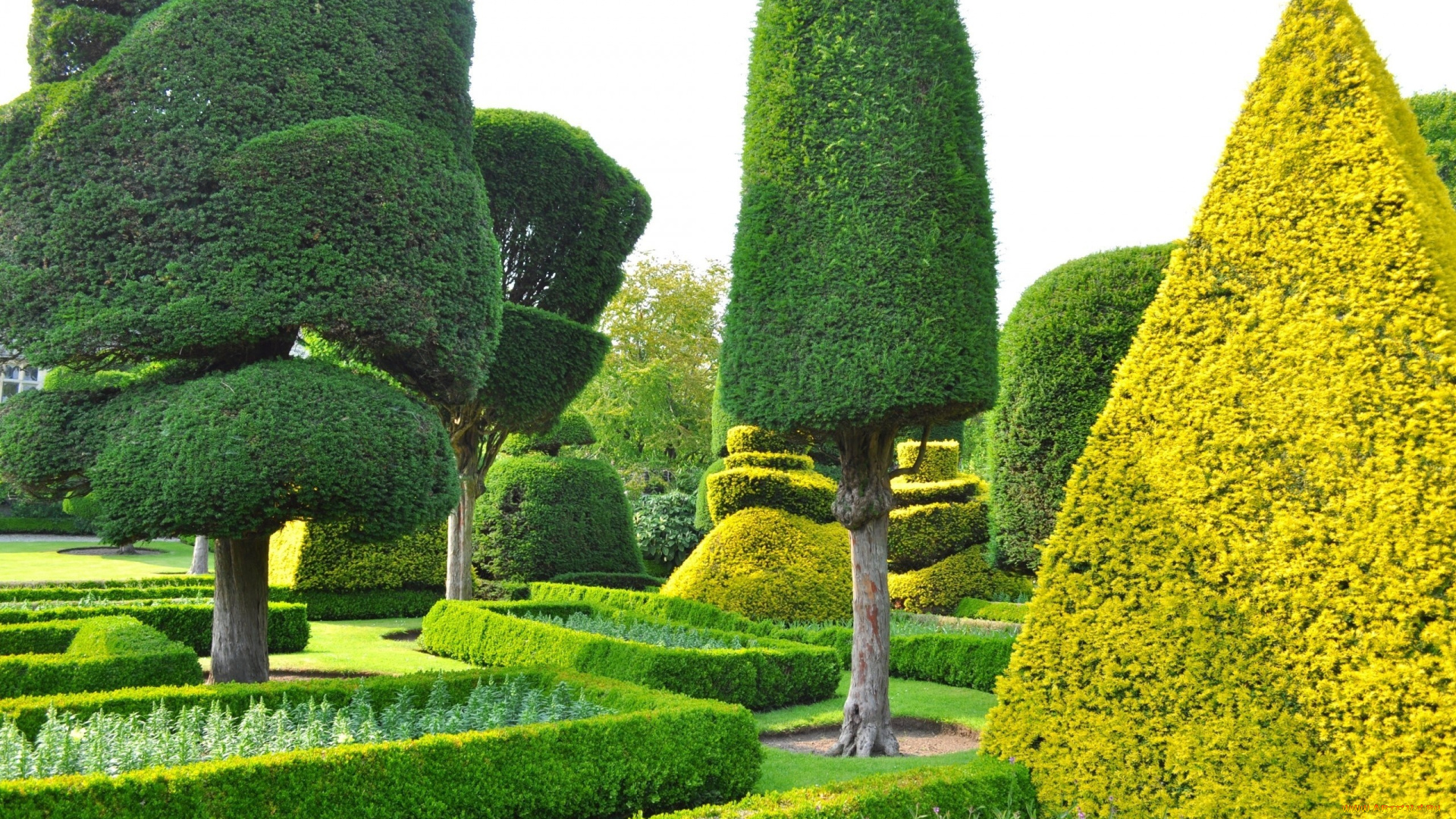 природа, парк, ландшафтный, дизайн