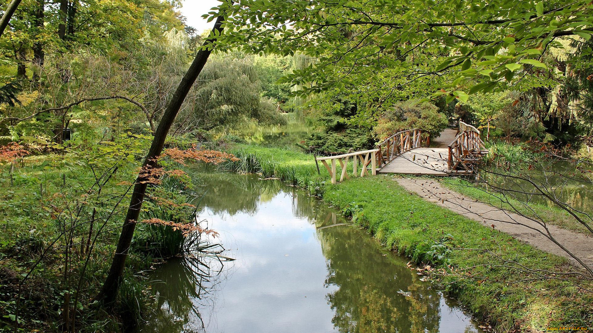 природа, парк, речка, деревья, мостик