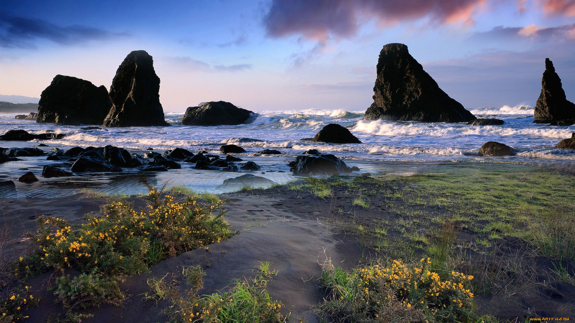 природа, побережье, океан, скалы, пляж, цветы