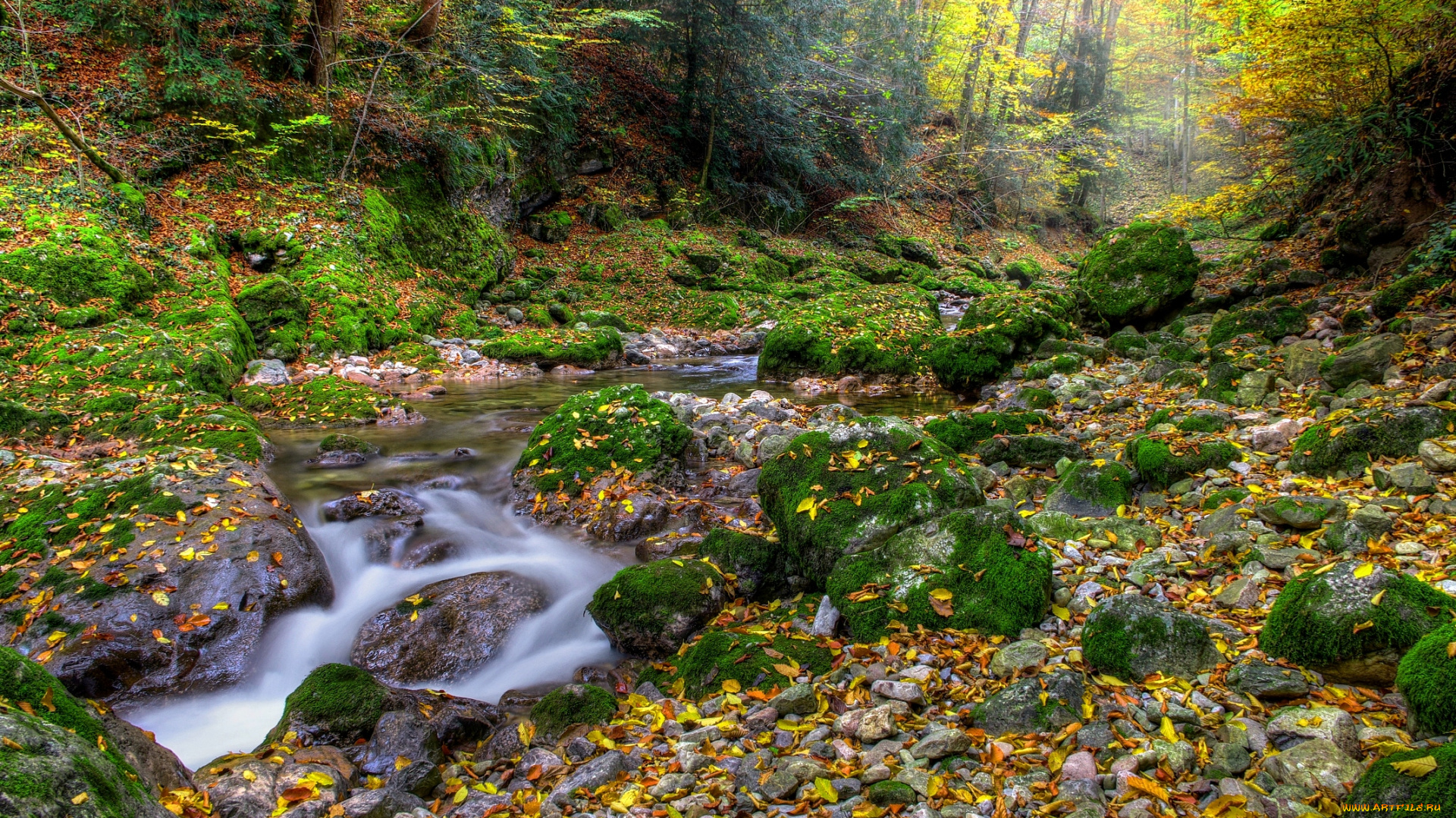 природа, реки, озера, лес, речка, камни, мох, листва