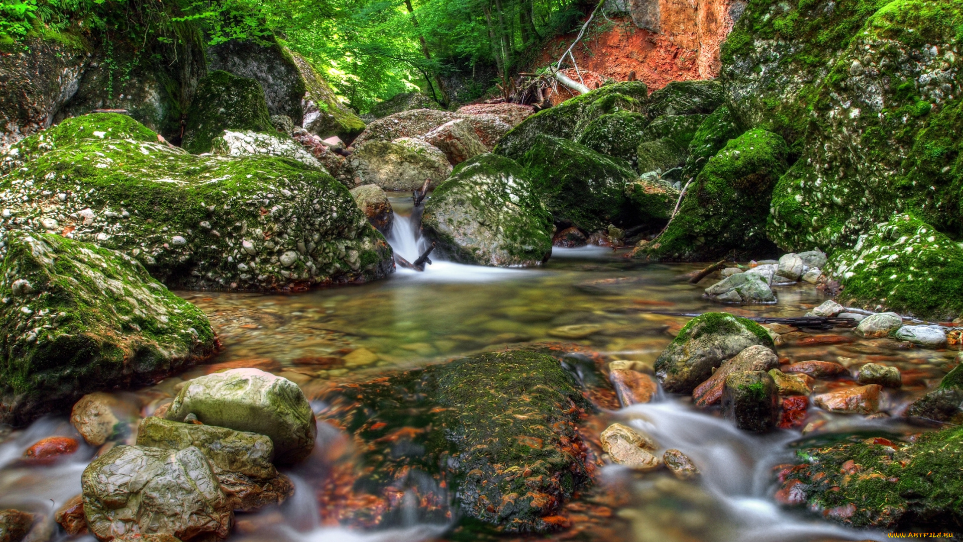 природа, реки, озера, лес, ручей, камни, трава, мох