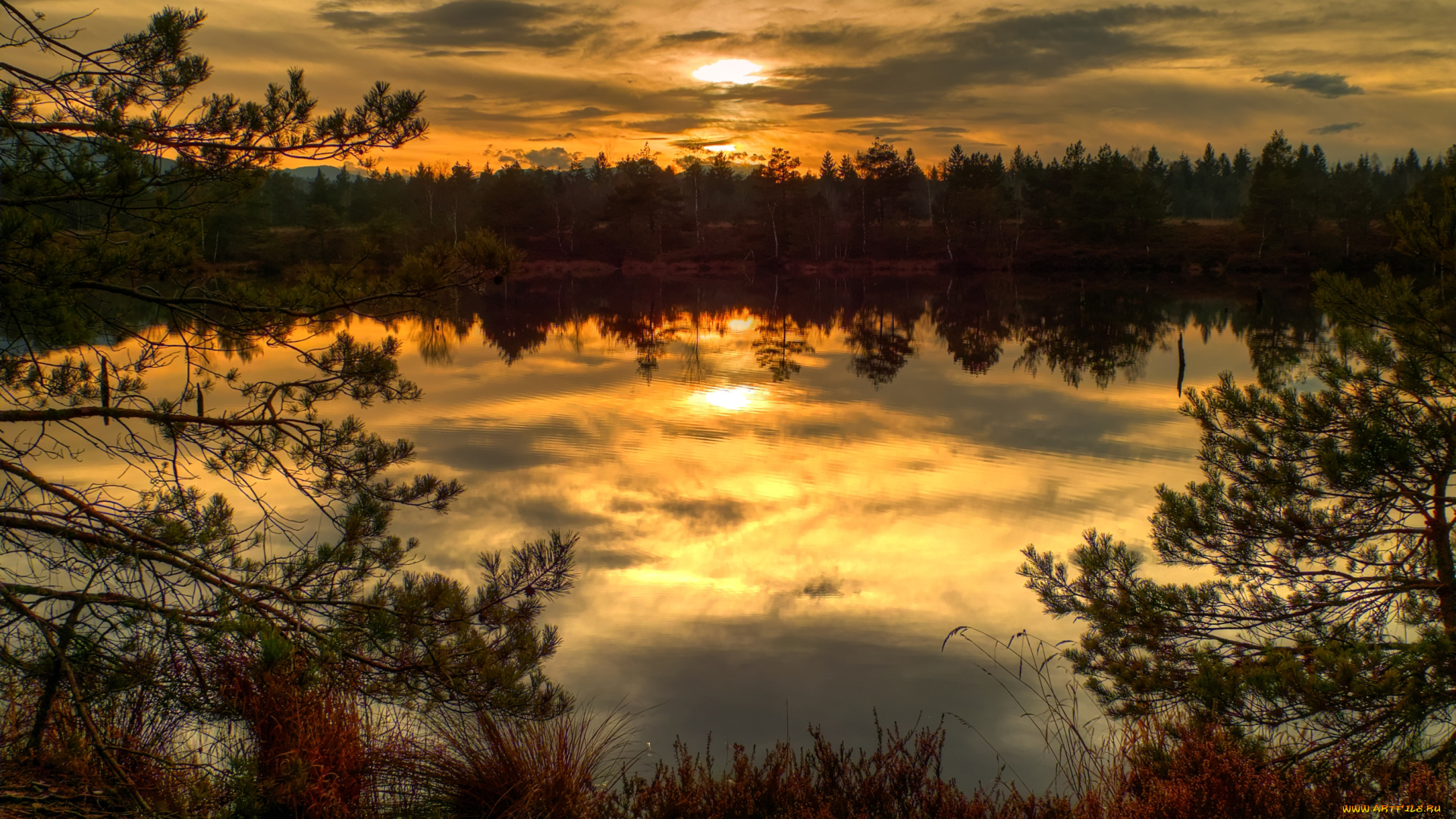 природа, реки, озера, озеро, лес, полумрак, тучи, трава, ветки