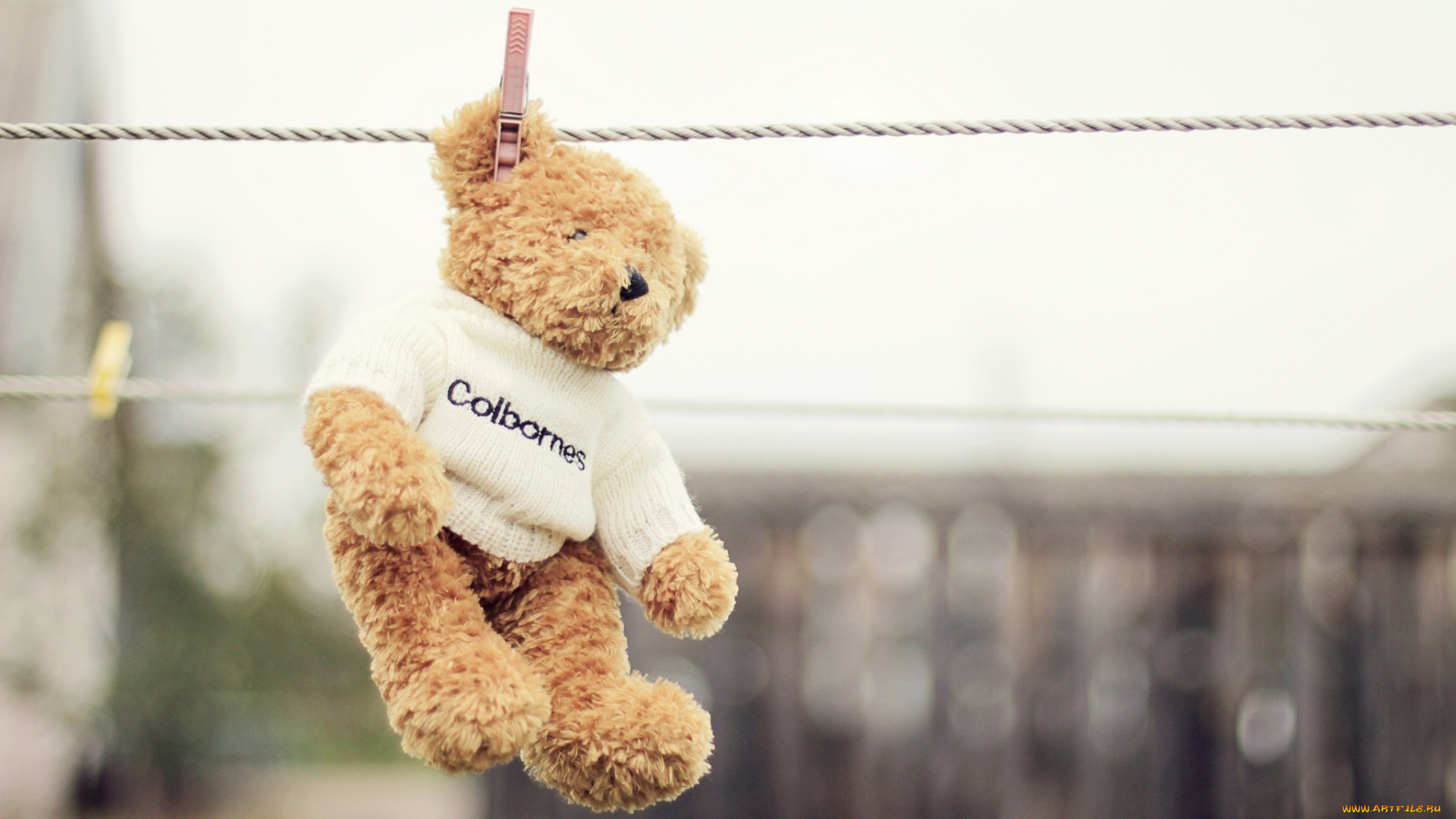 разное, игрушки, прищепка, мишка