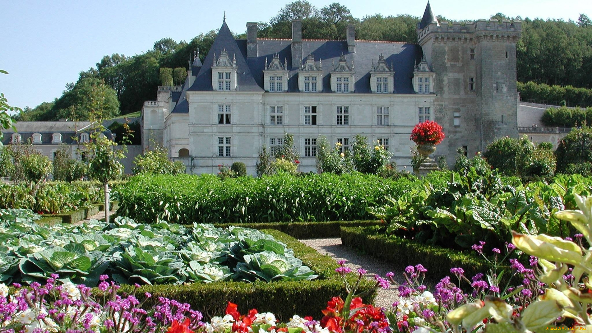 замок, villandry, франция, города, дворцы, замки, крепости, цветы, клумбы