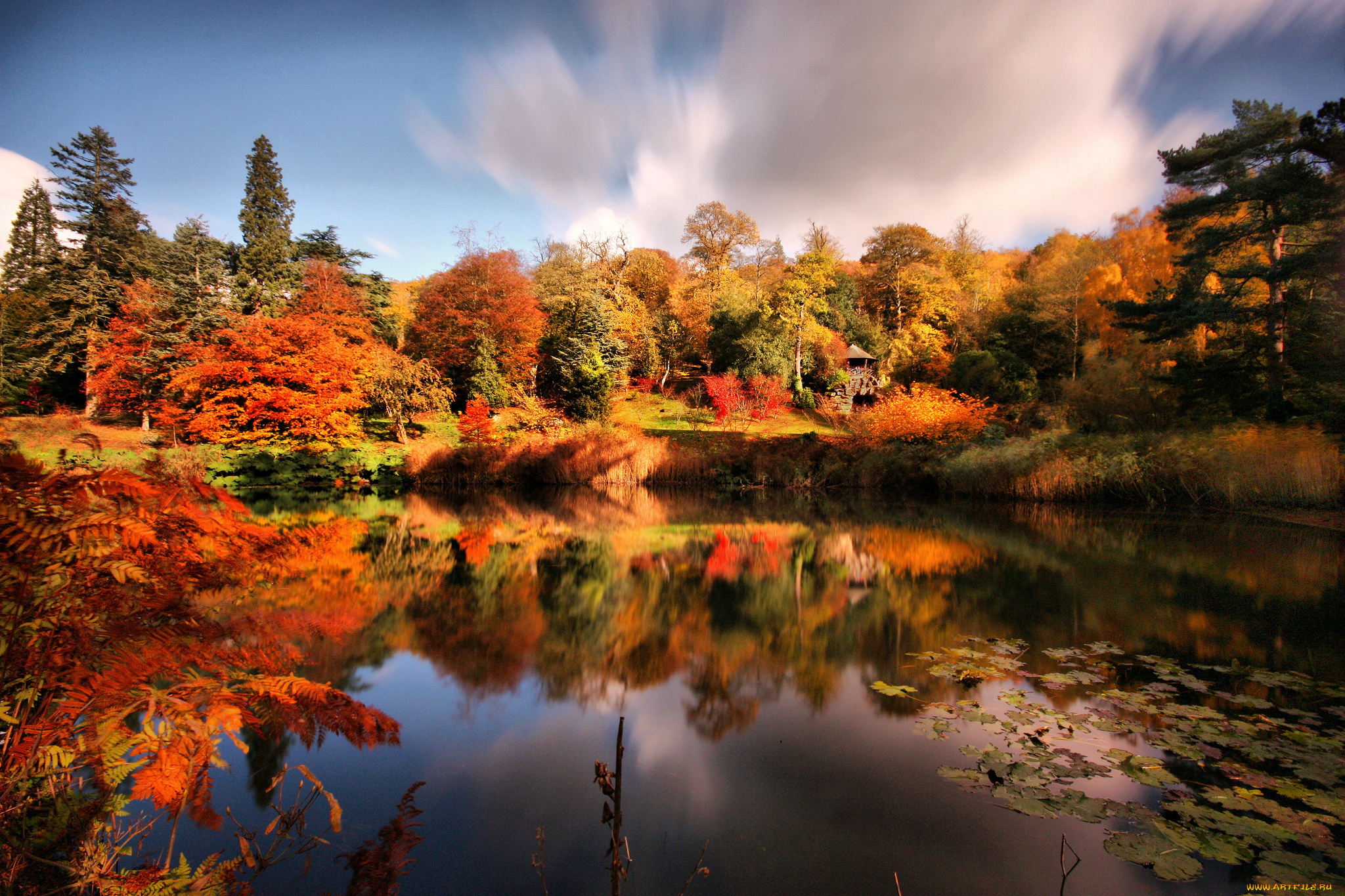 пейзаж, природа, реки, озера, осень, парк, пруд, беседка