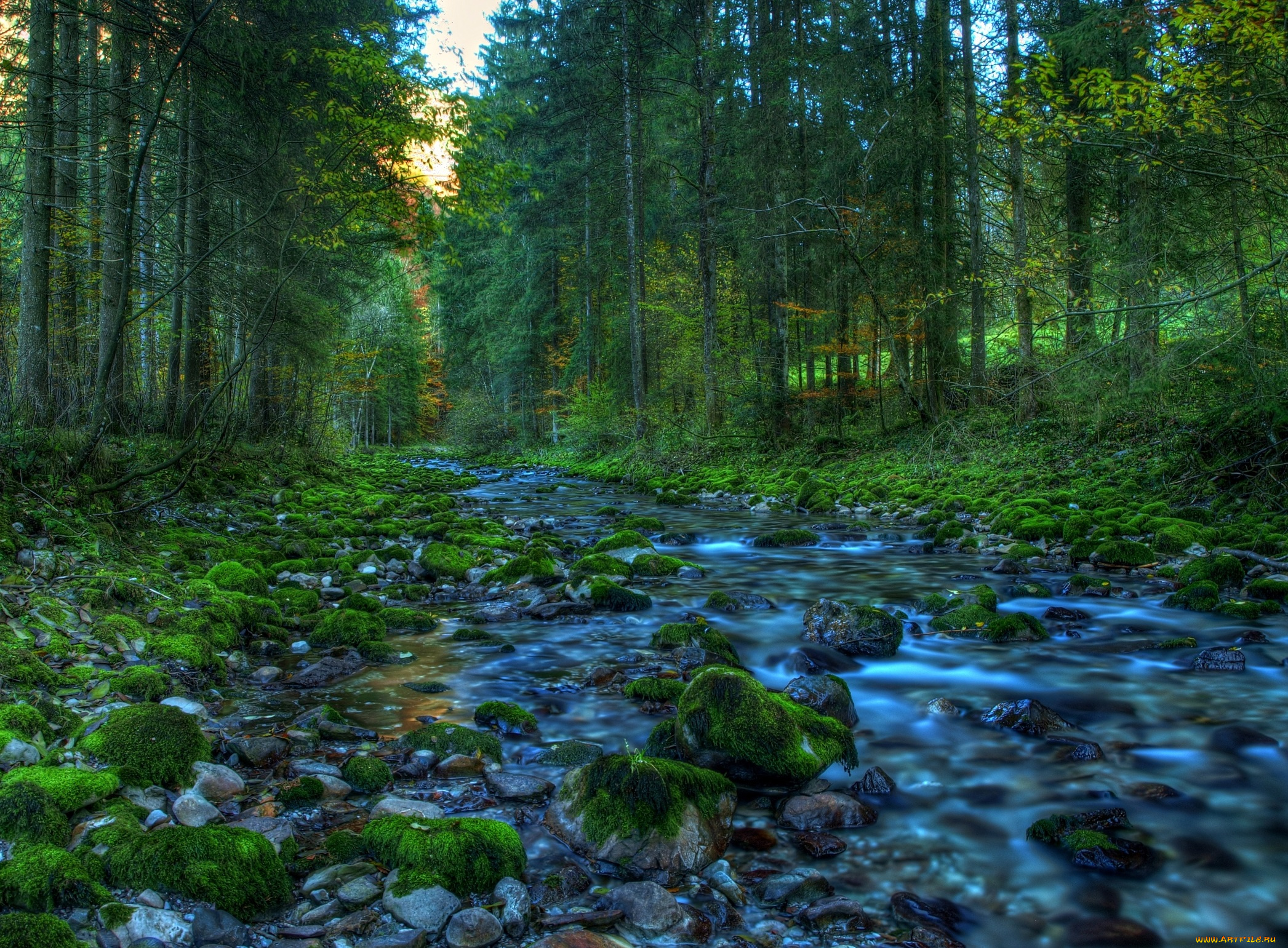 природа, реки, озера, лес, река, камни