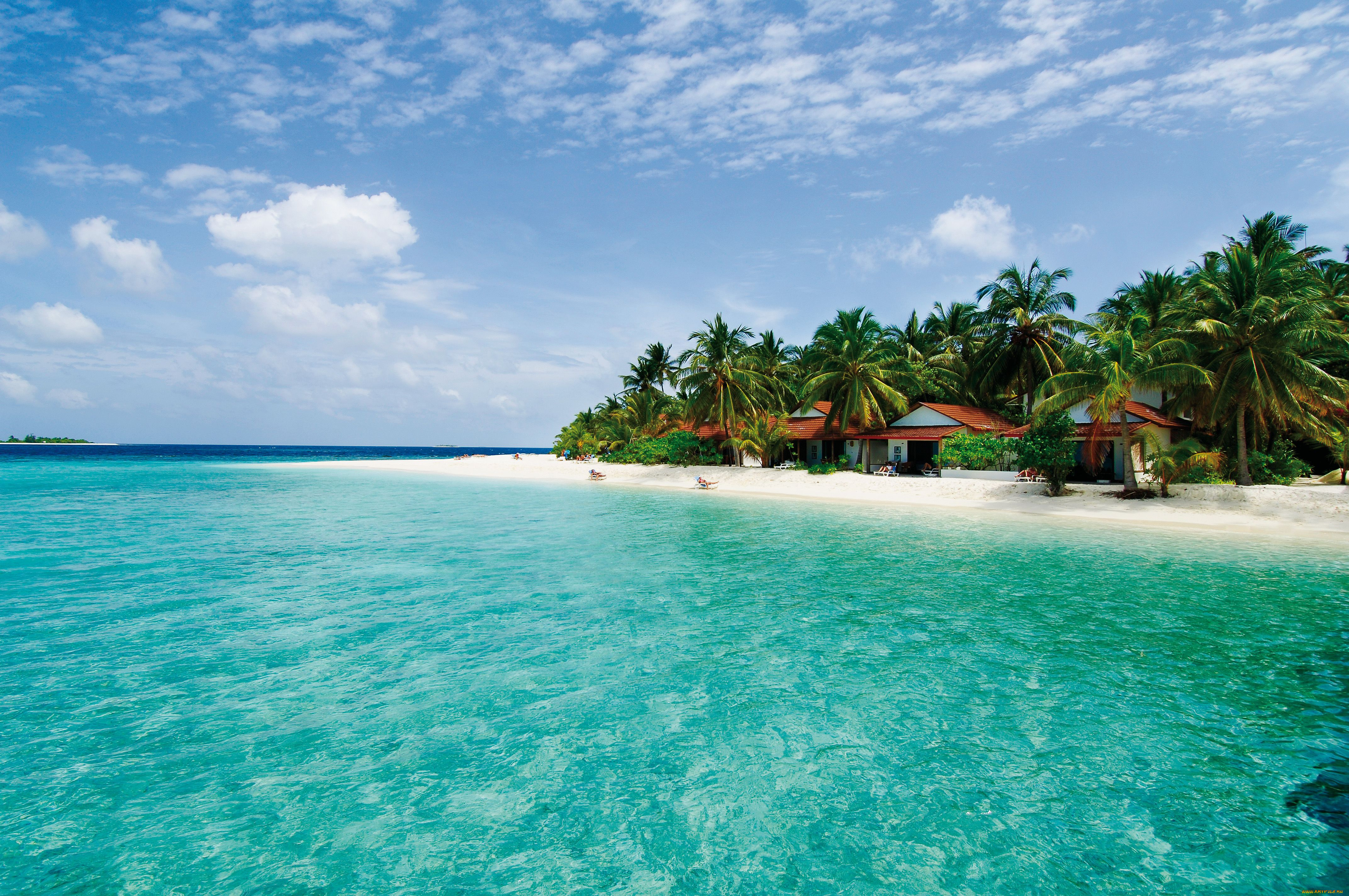 пейзаж, природа, тропики, мальдивы, остров, море, пальмы, пляж