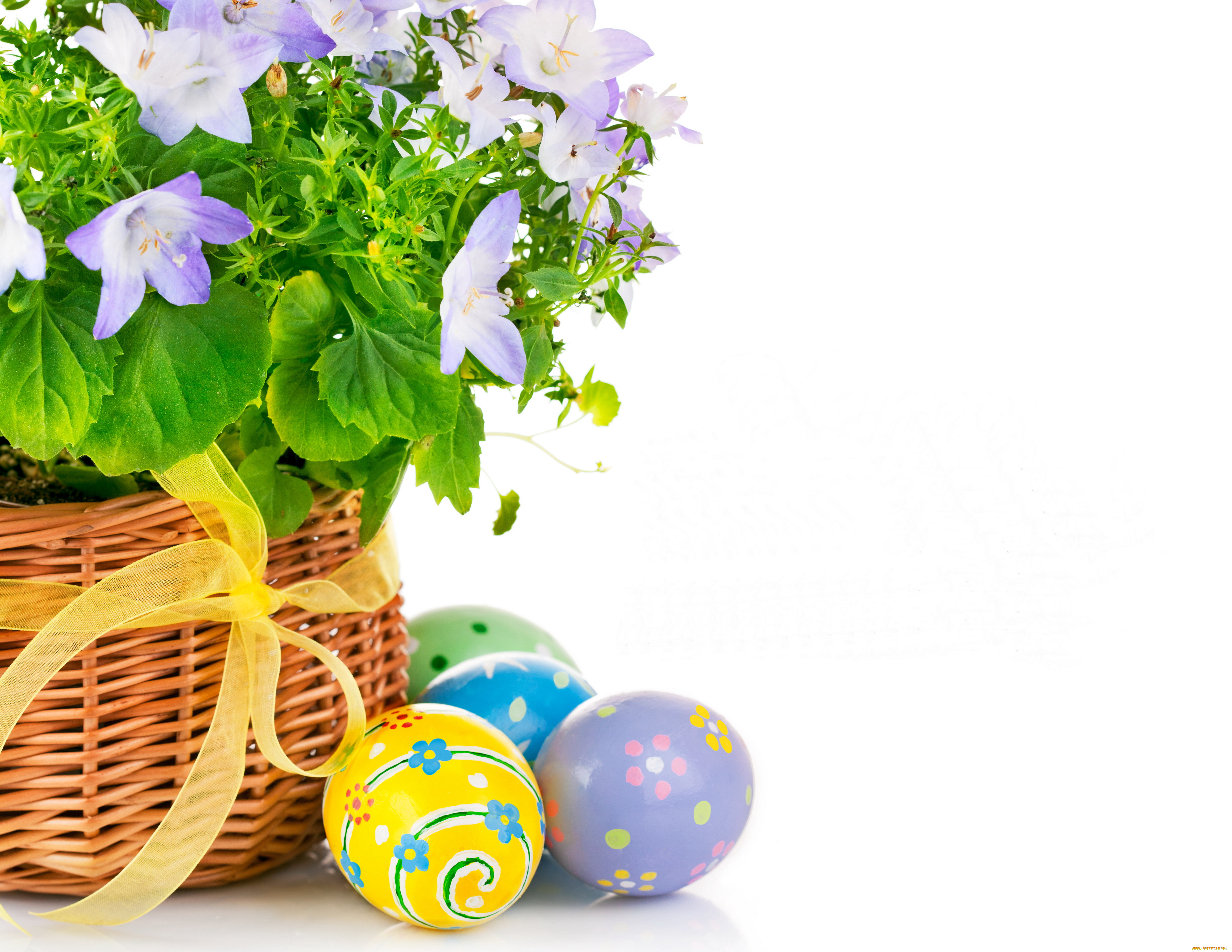 праздничные, пасха, цветы, яйца