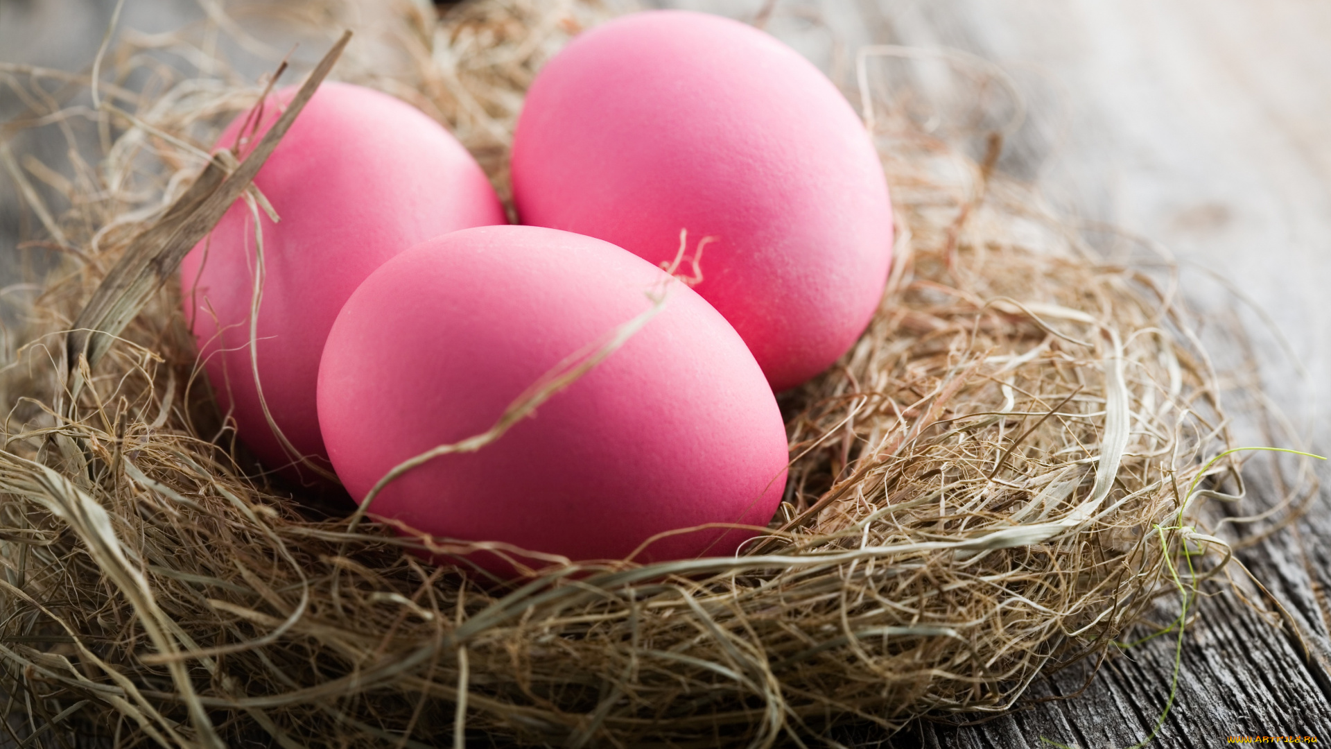 праздничные, пасха, гнездо, яйца, праздник