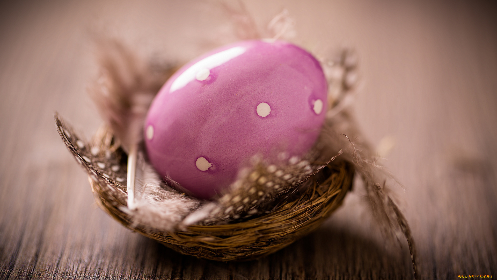 праздничные, пасха, пасхальные, яйца, happy, easter