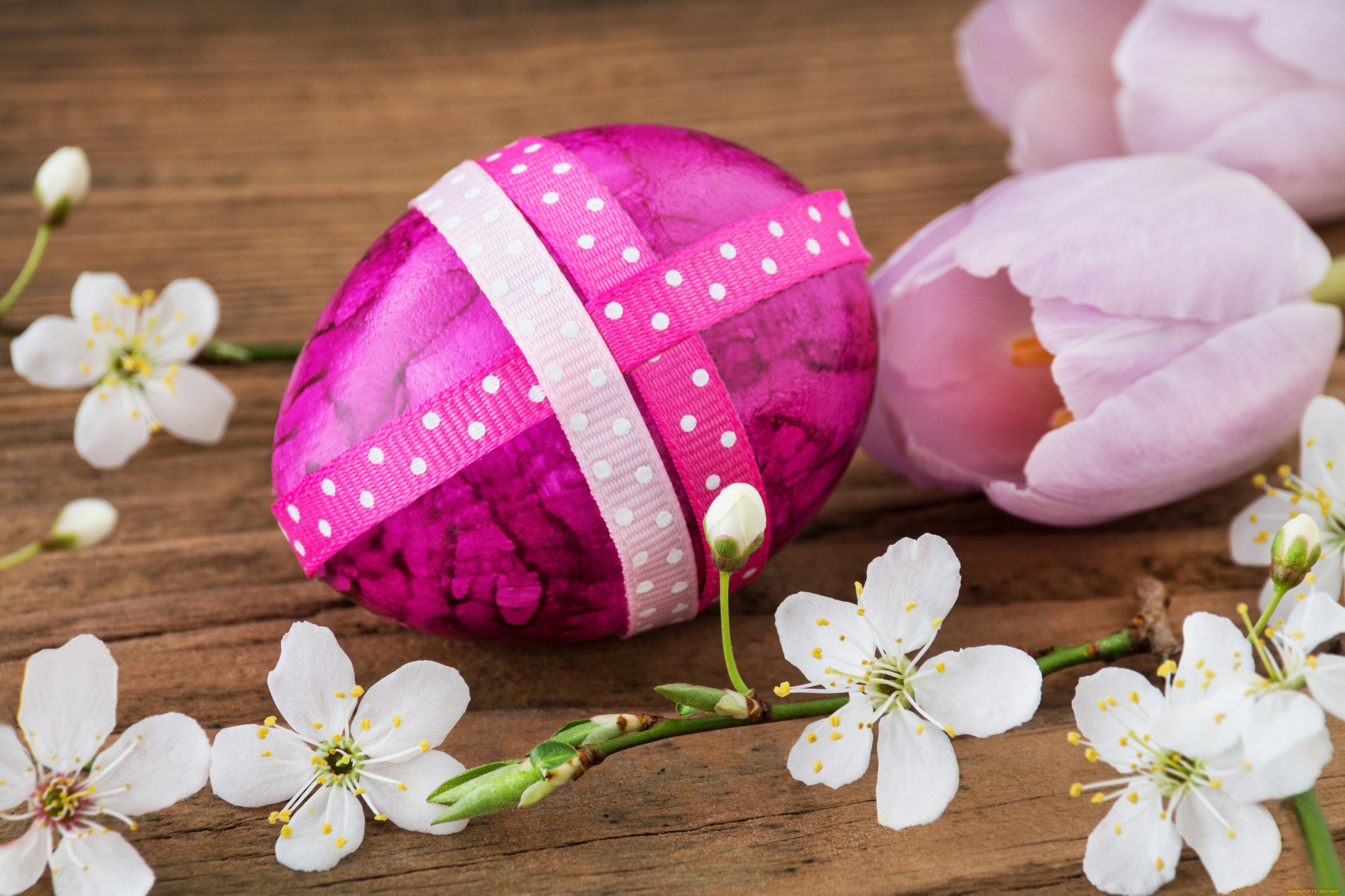 праздничные, пасха, happy, easter, пасхальные, яйца